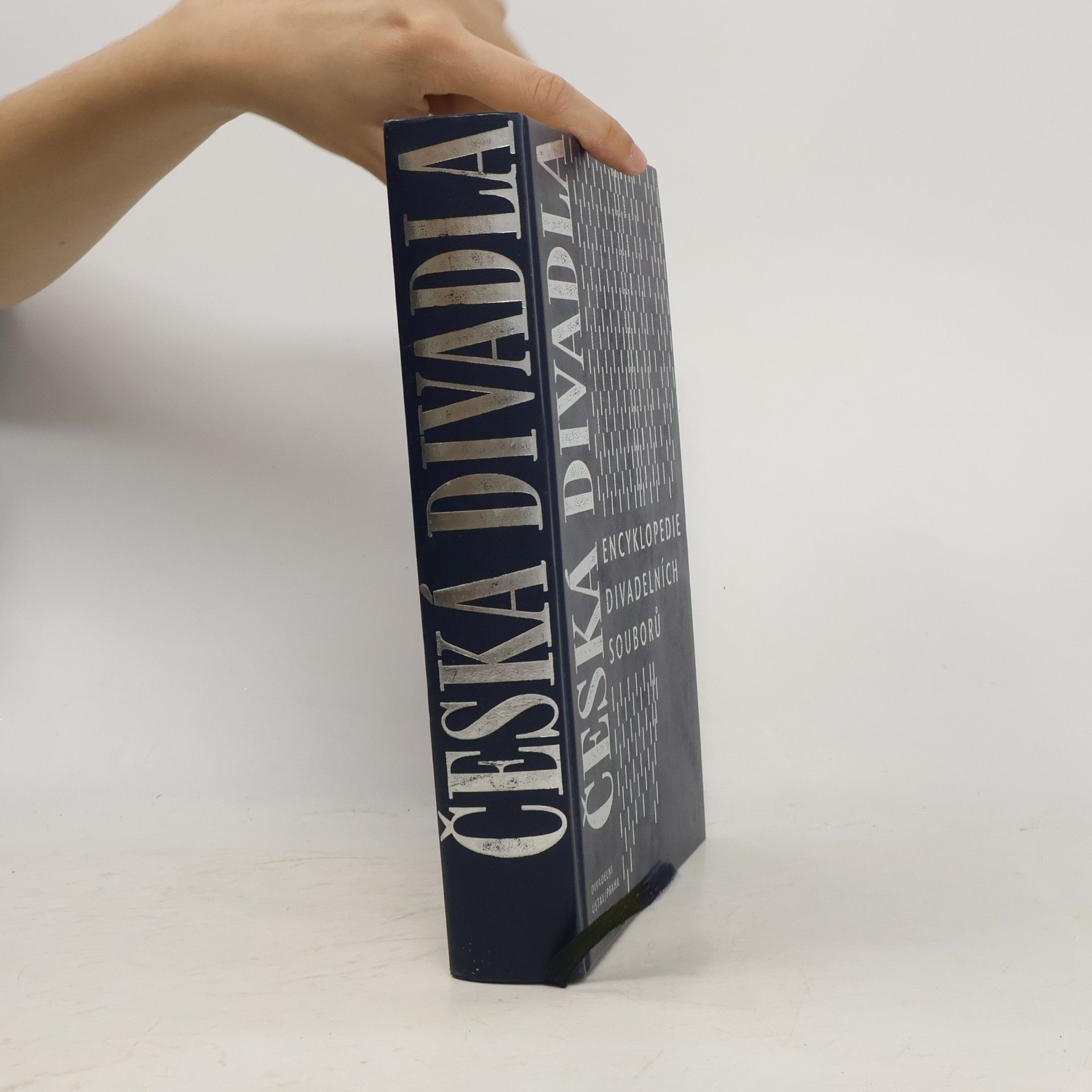 Collectif d'auteurs Česká divadla. Encyklopedie divadelních souborů