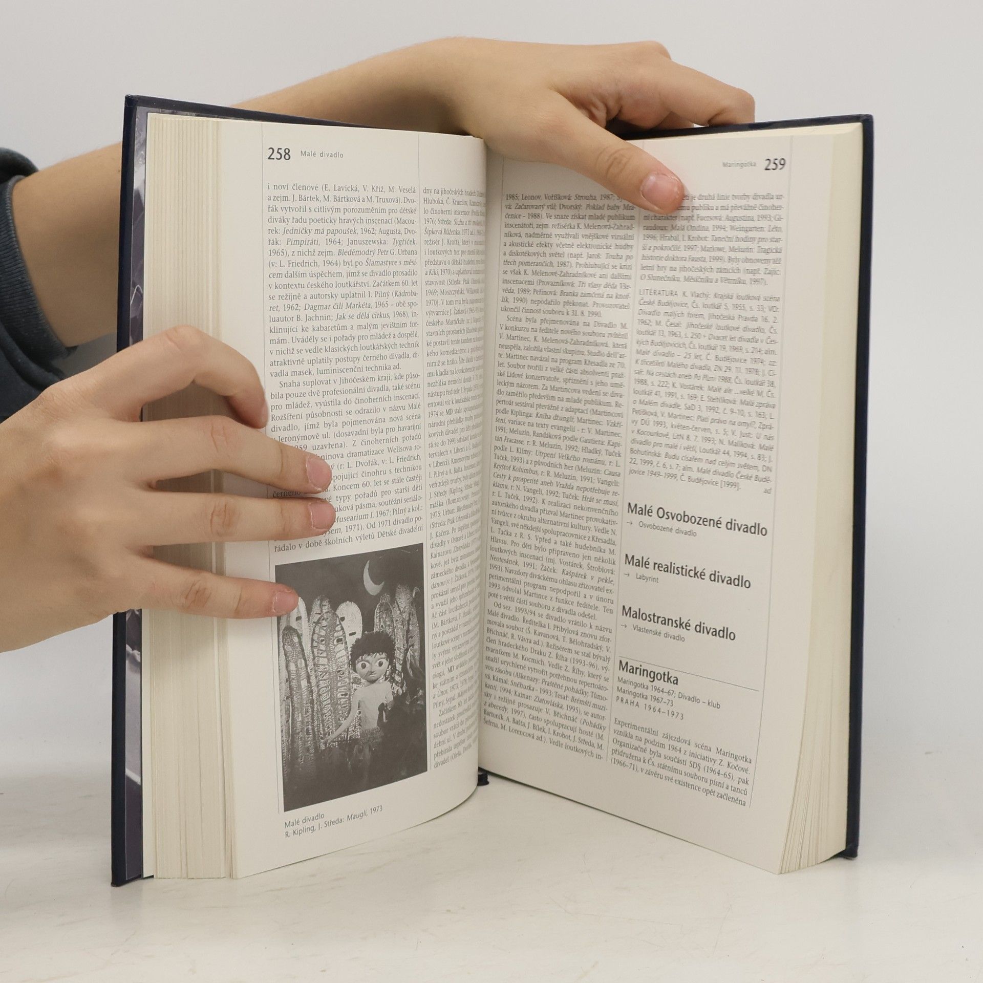 Autorenkollektiv Česká divadla. Encyklopedie divadelních souborů