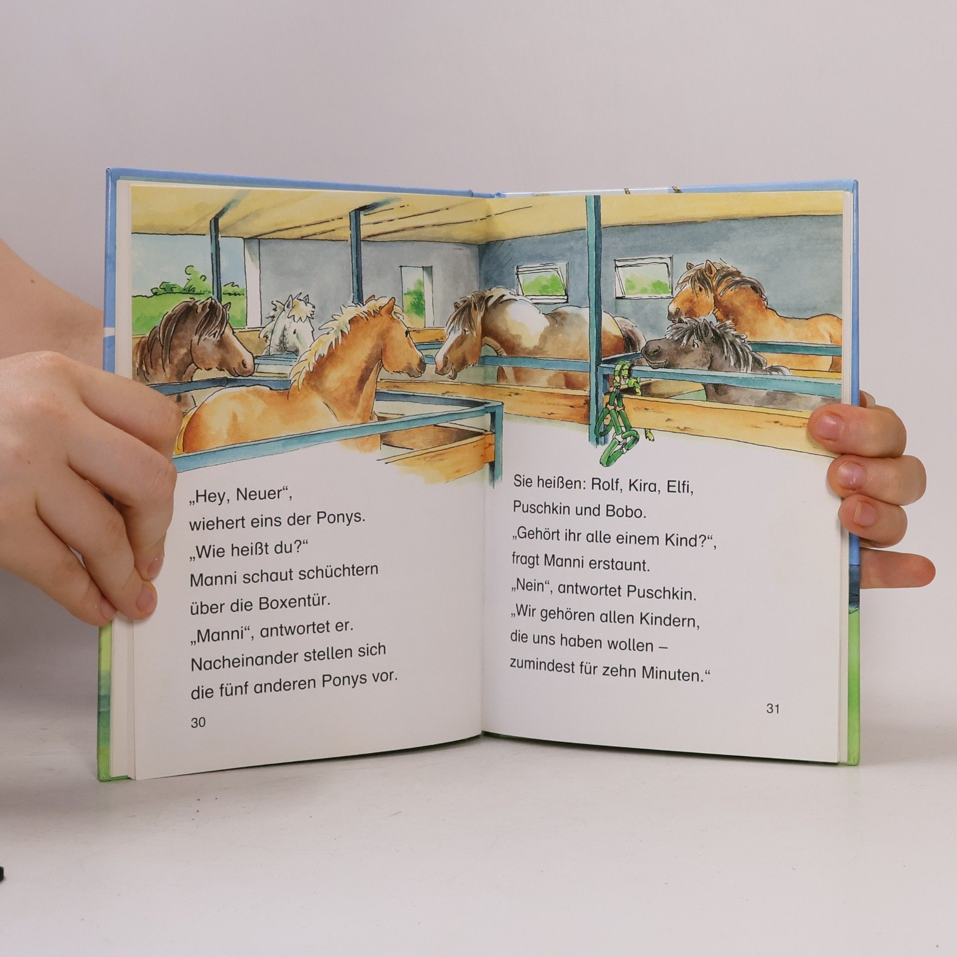 Sabine Rahn Lesepiraten-Ponygeschichten