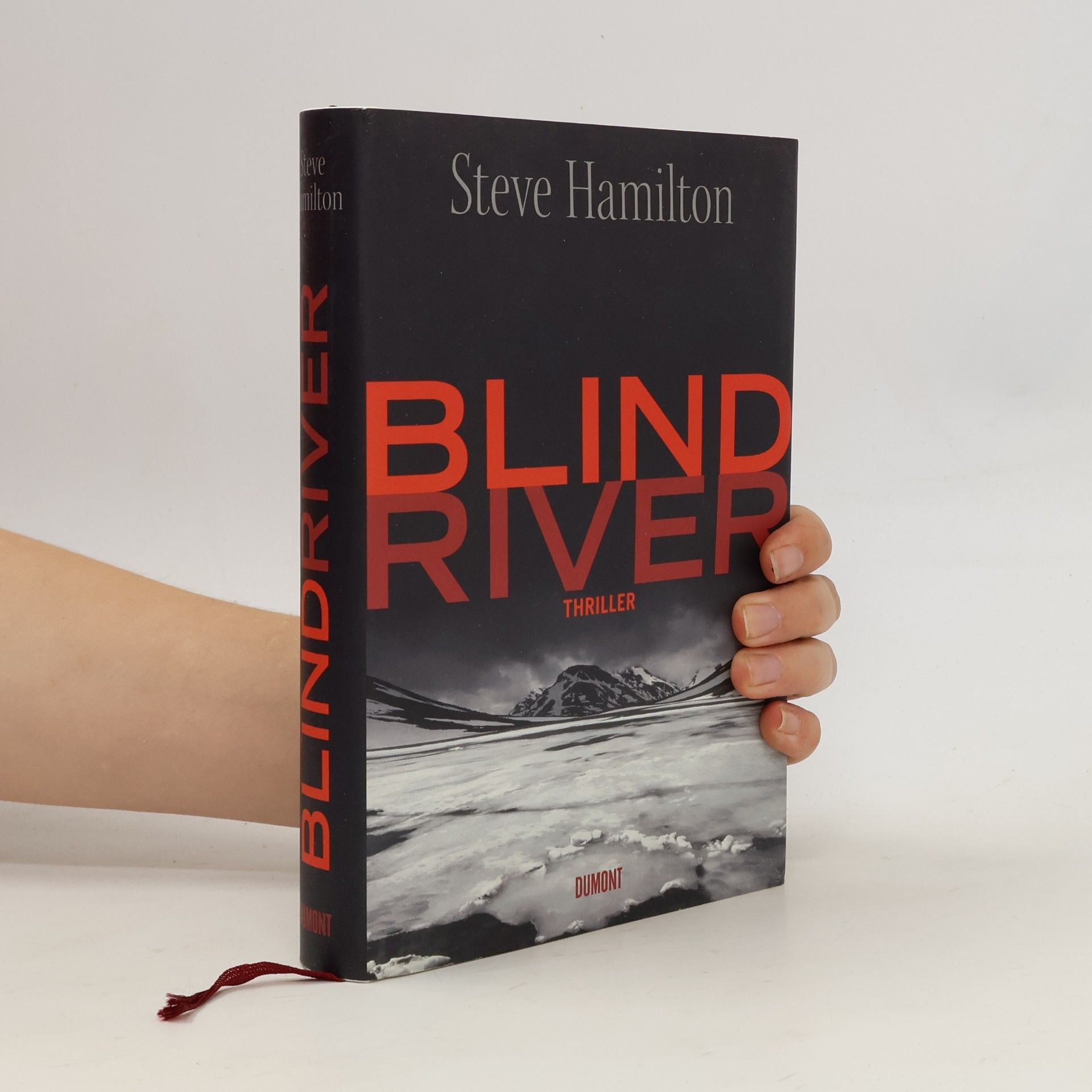 Steve Hamilton Blind River