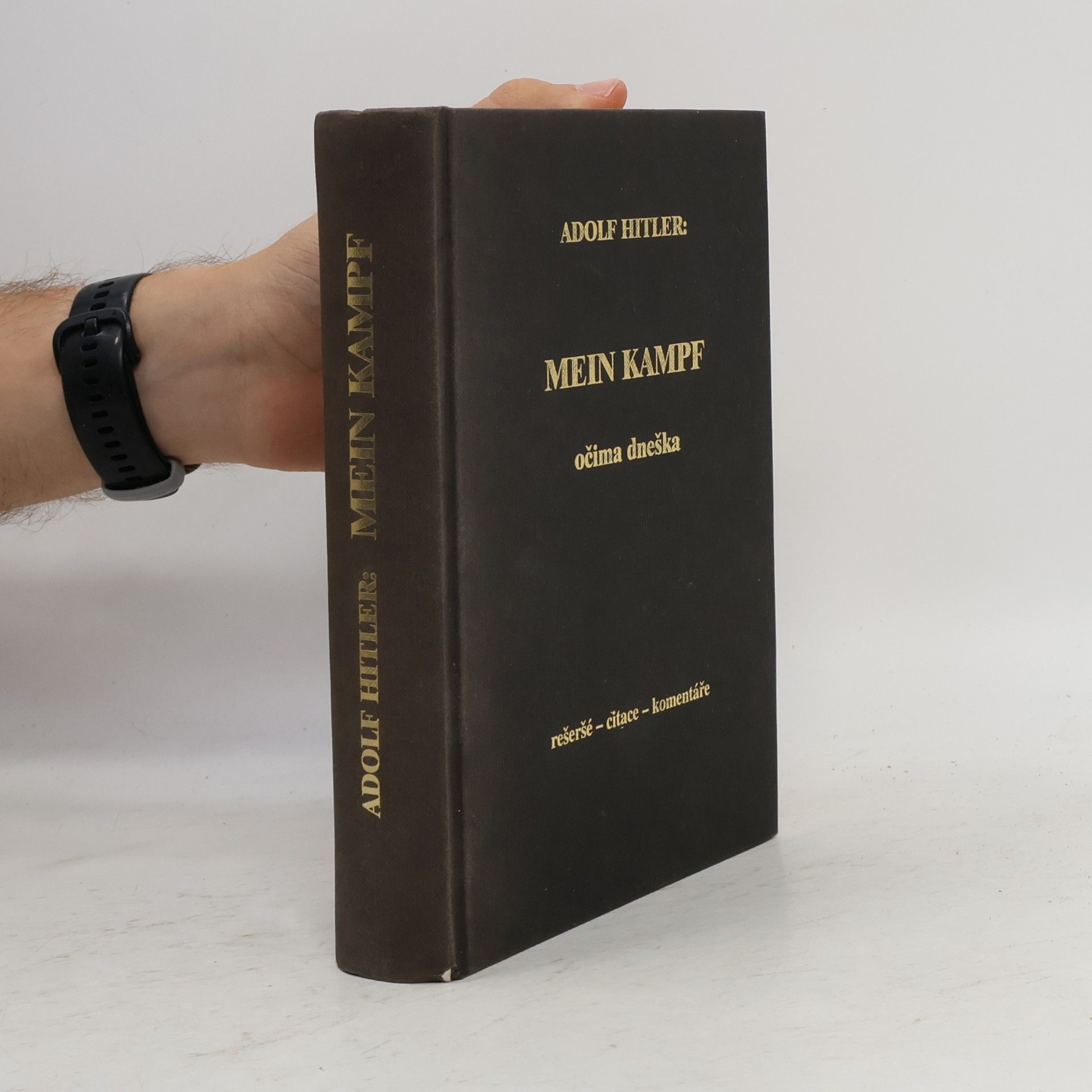 Luisa Müllerová Mein Kampf očima dneška : rešeršé - citace - komentáře