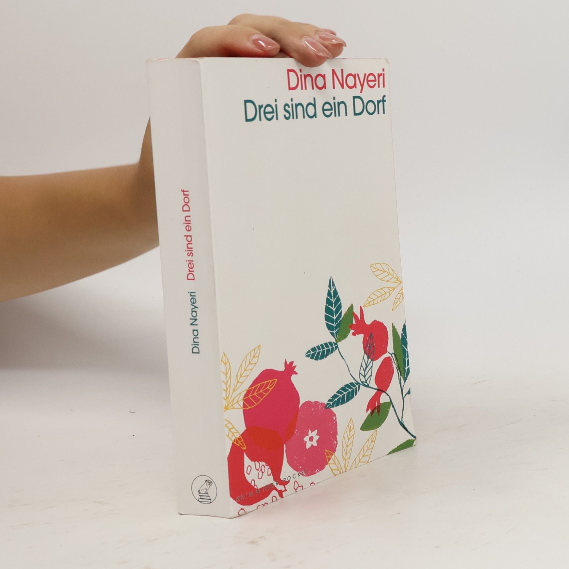 Dina Nayeri Drei sind ein Dorf
