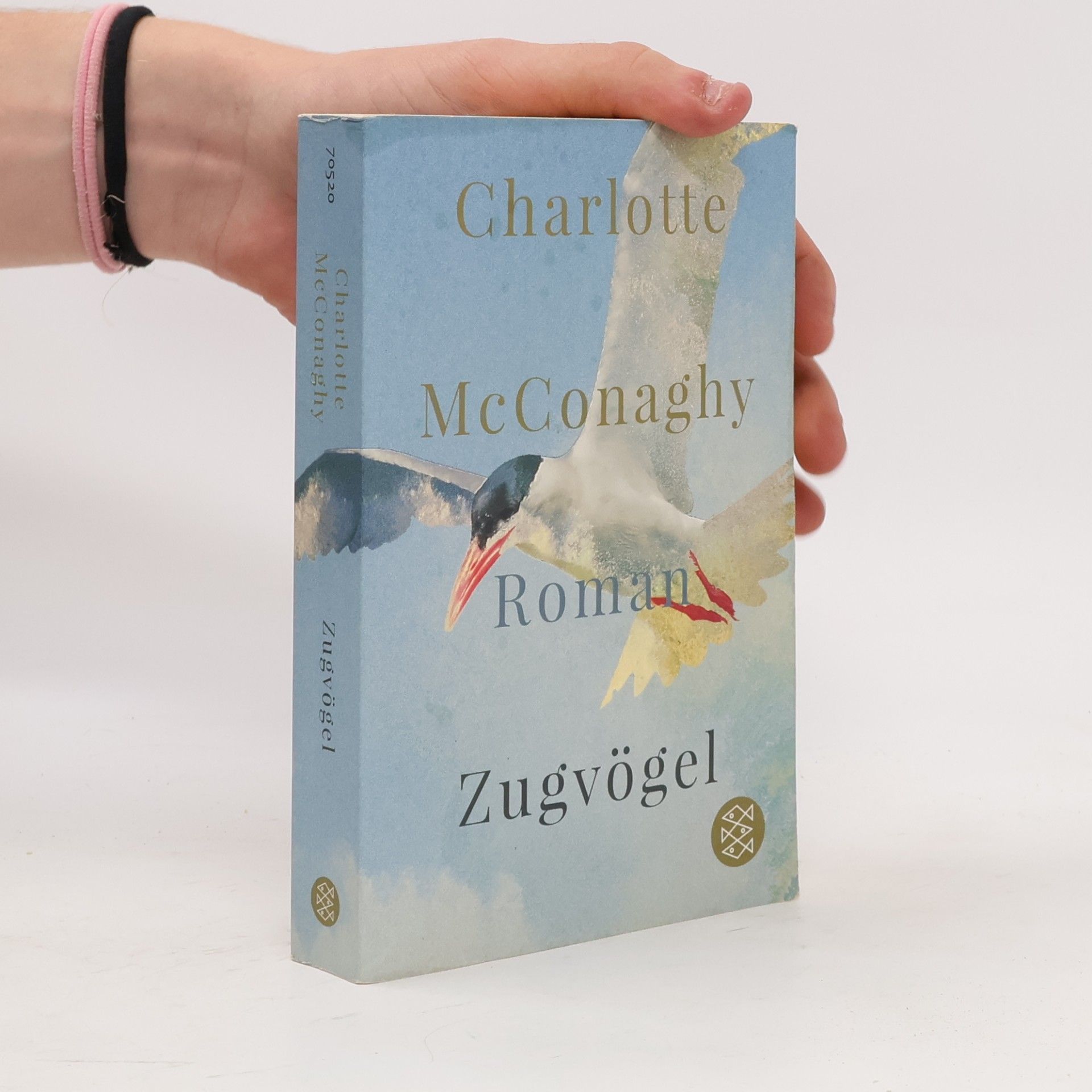 CHARLOTTE. MCCONAGHY Zugvögel