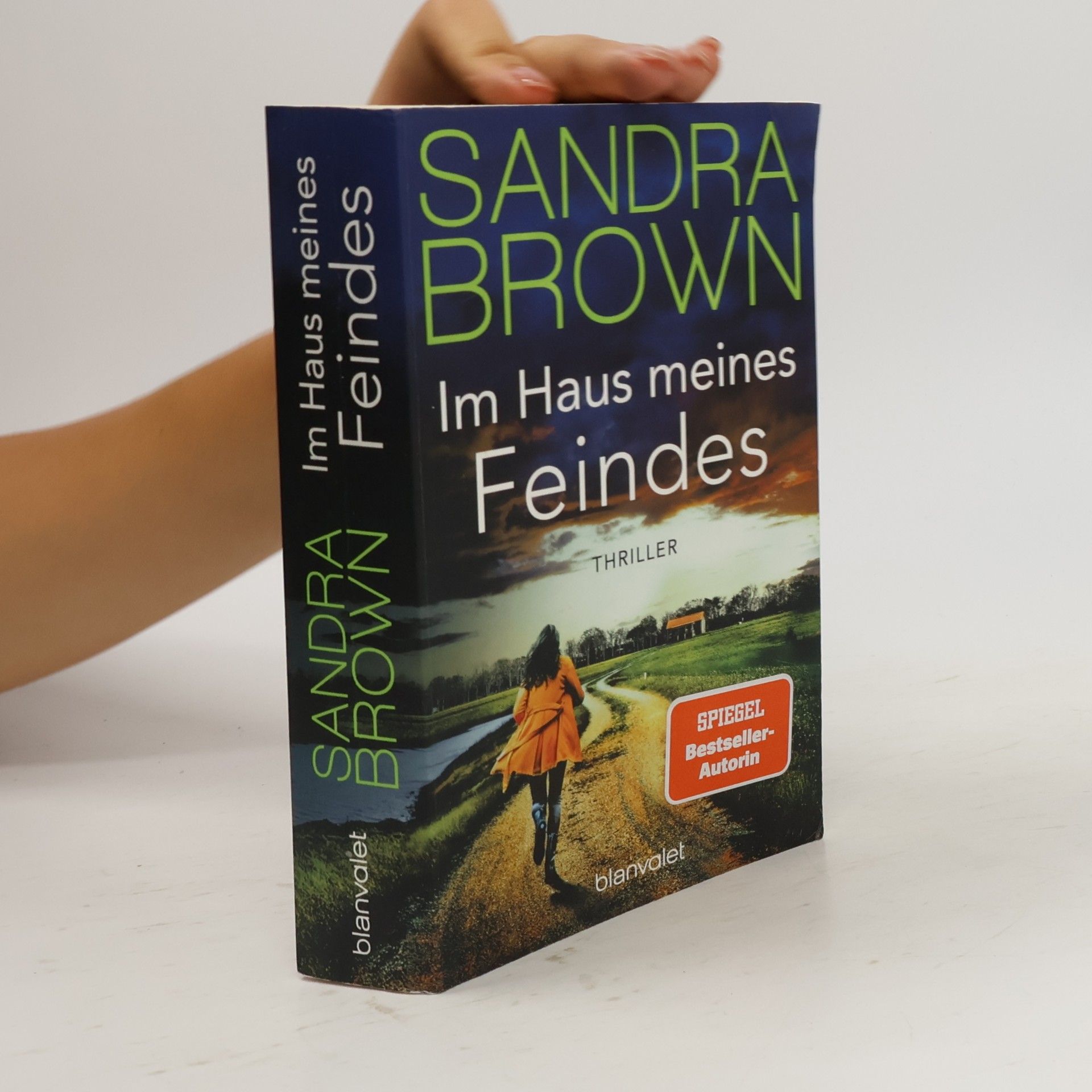 Sandra Brown Im Haus meines Feindes