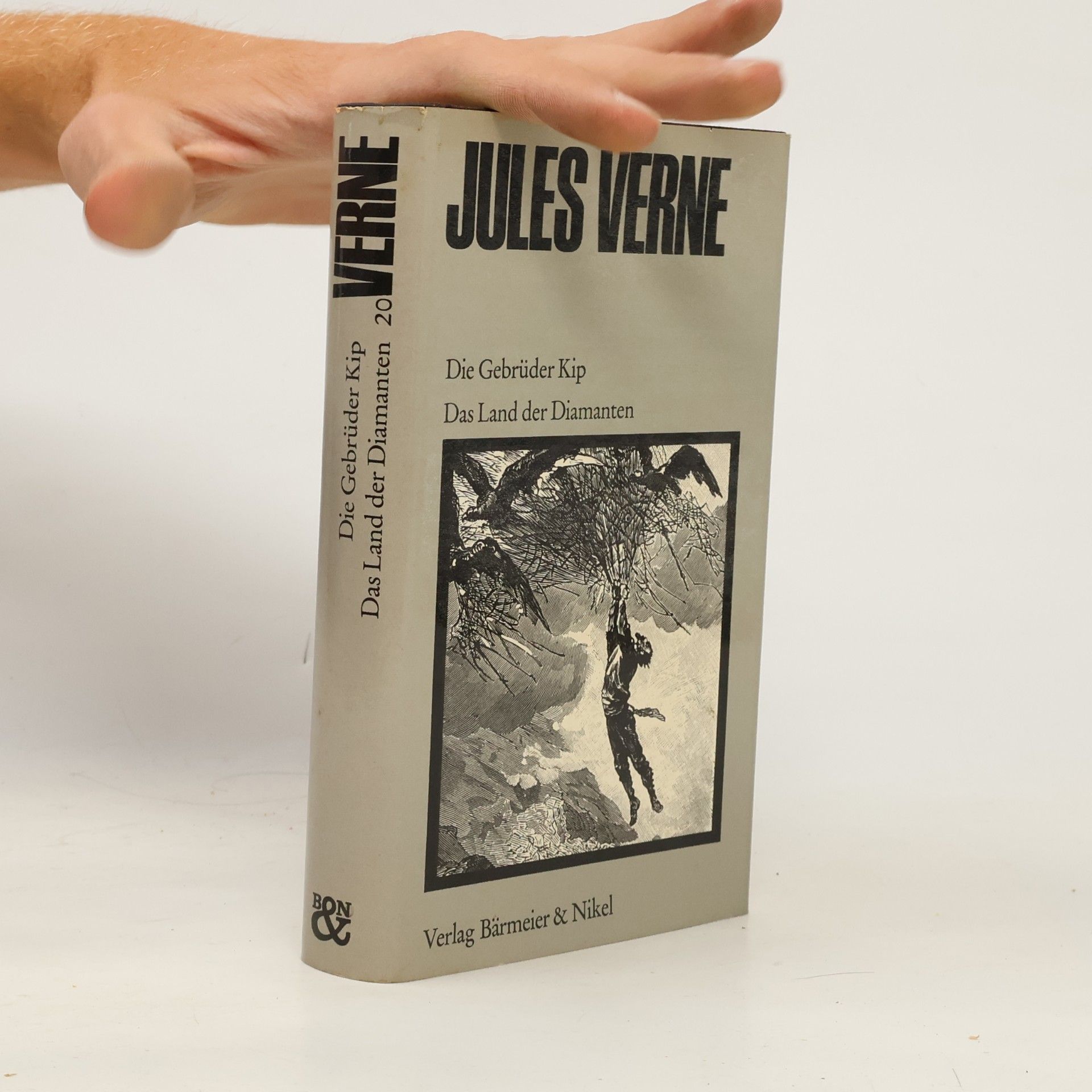 Jules Verne Die Gebrüder Kip. Das Land der Diamanten