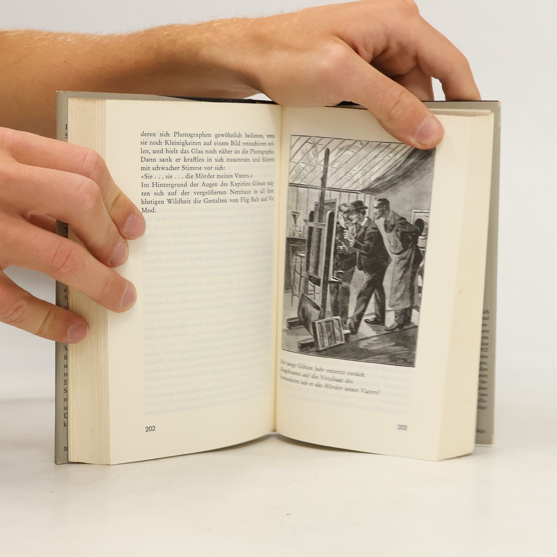Jules Verne Die Gebrüder Kip. Das Land der Diamanten