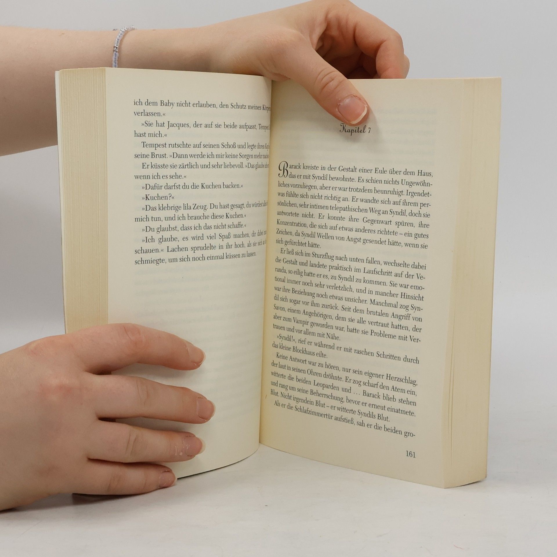 Christine Feehan Dunkles Fest der Leidenschaft