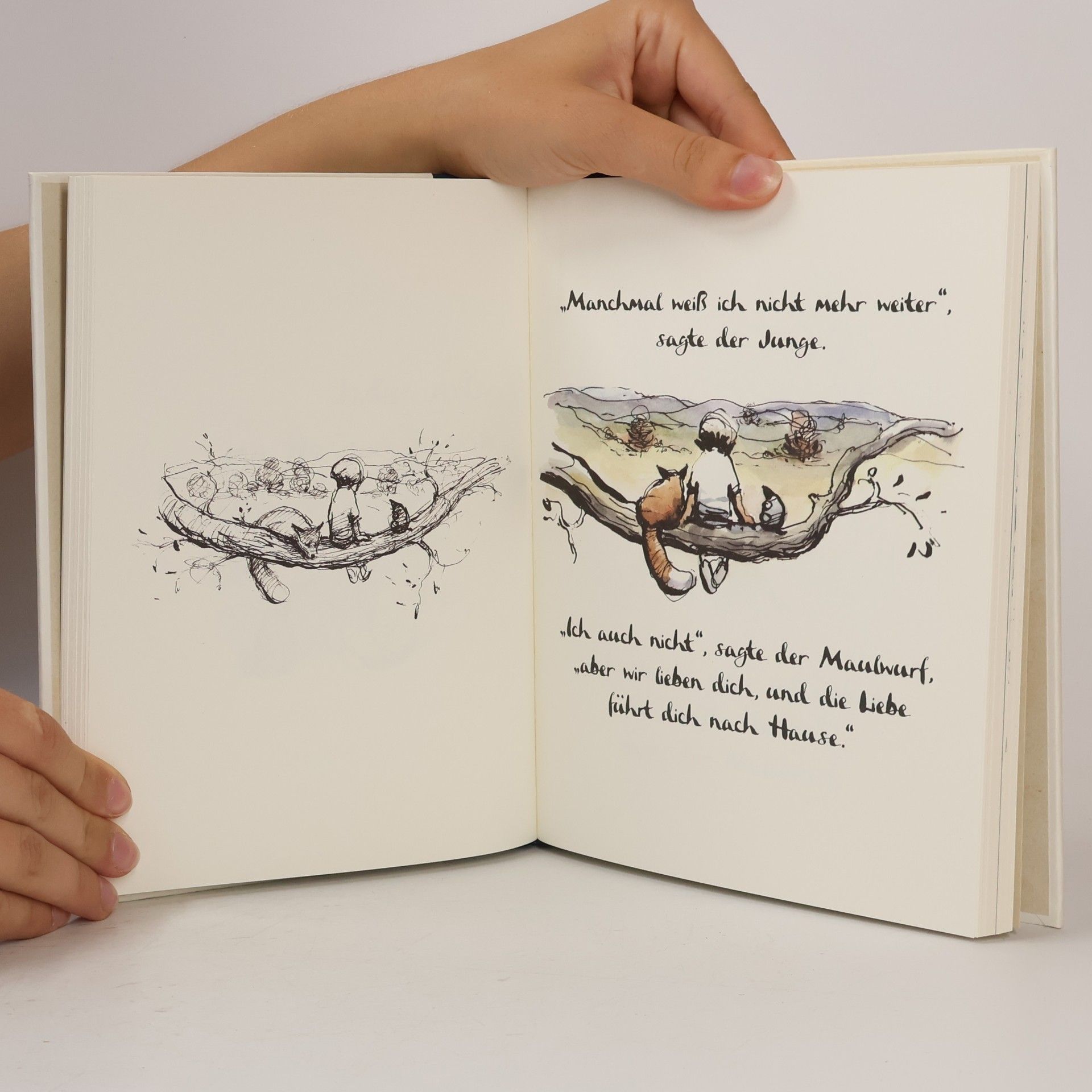 Charlie Mackesy Der Junge, der Maulwurf, der Fuchs und das Pferd