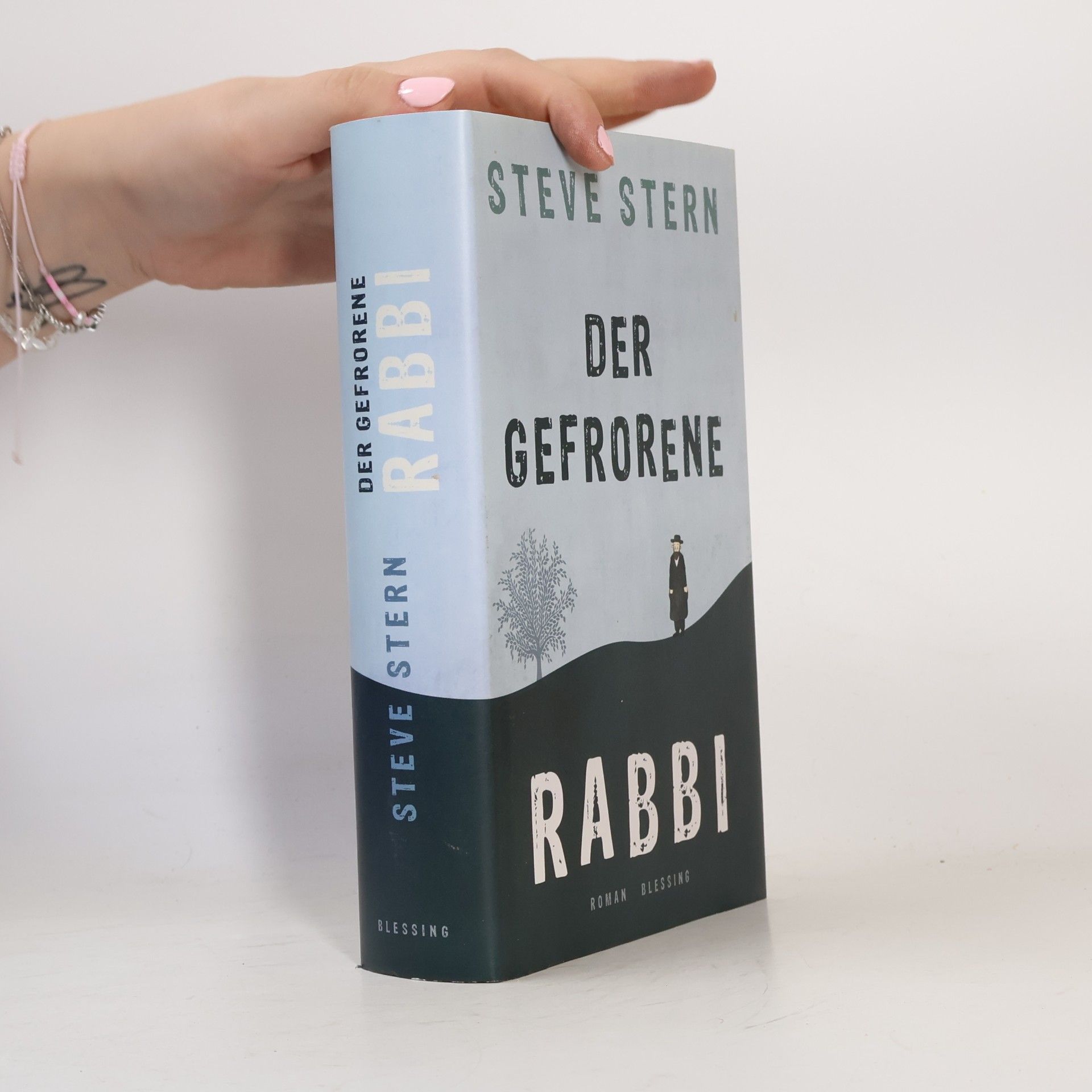 Steve Stern Der gefrorene Rabbi