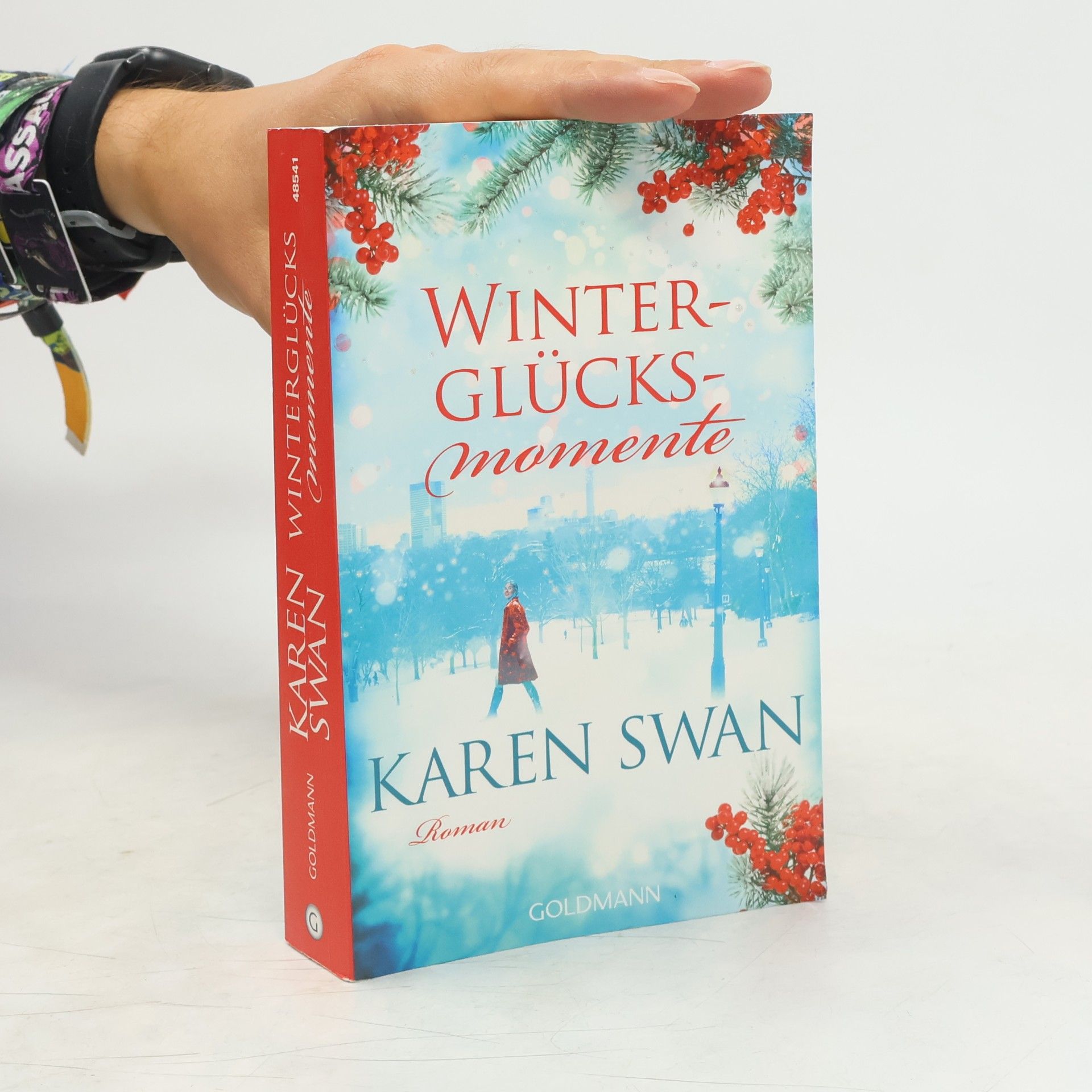 Karen Swan Winterglücksmomente