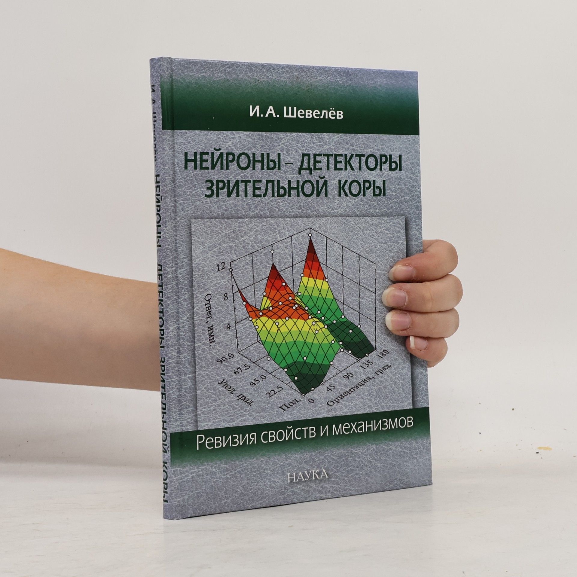 Игорь Александрович Шевелев Нейроны--детекторы зрительной коры