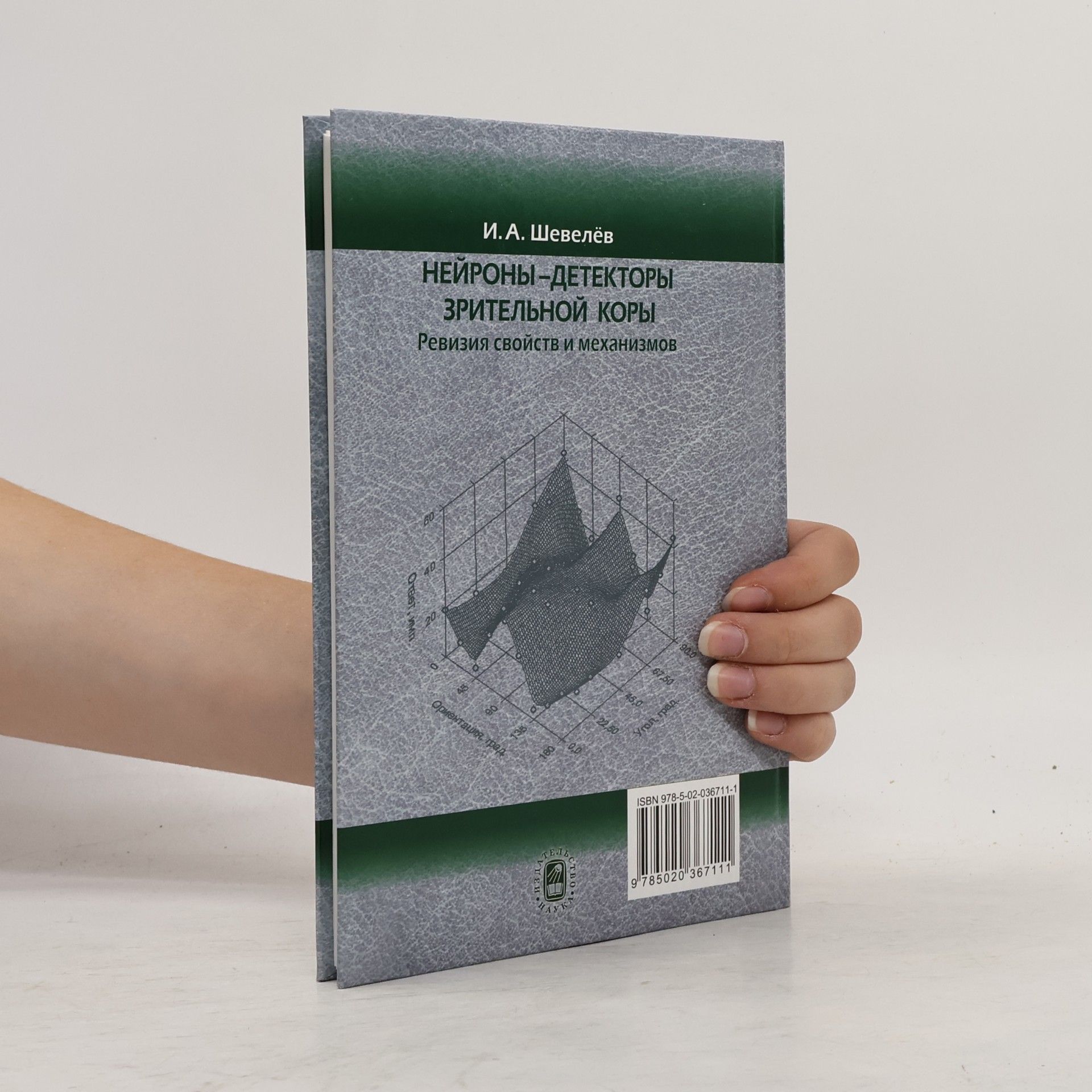 Игорь Александрович Шевелев Нейроны--детекторы зрительной коры