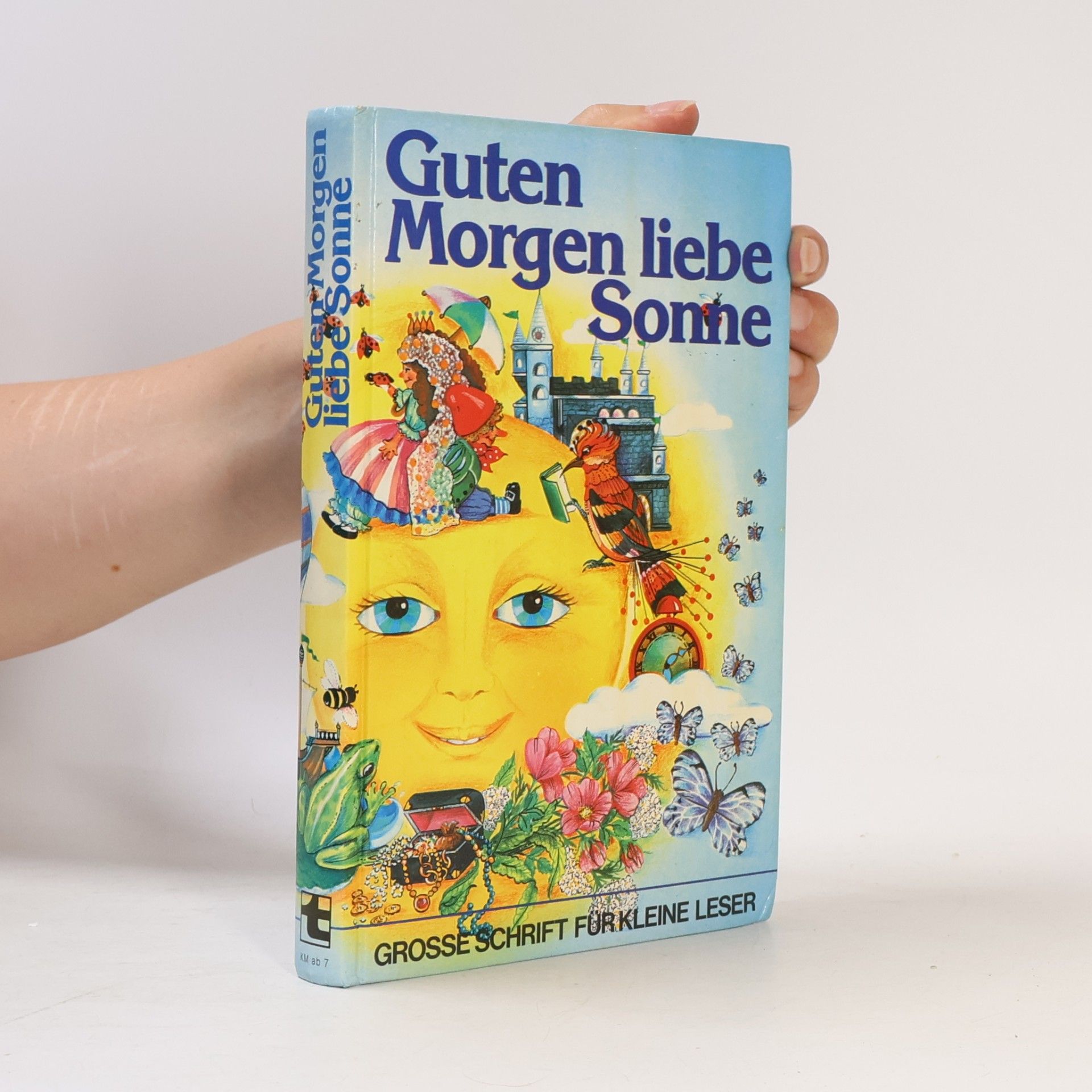 Autorenkollektiv Guten Morgen liebe Sonne