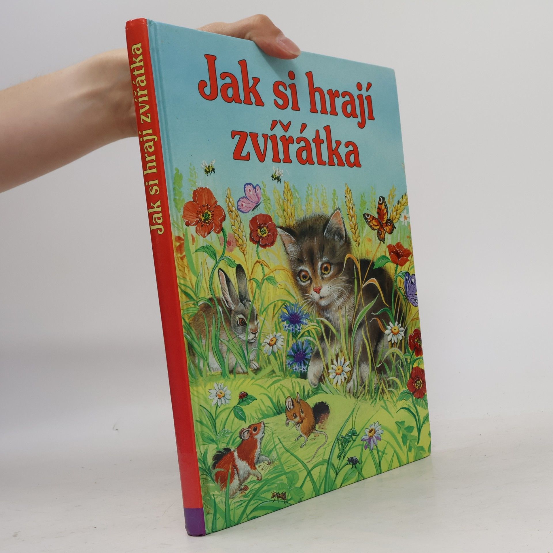 Autores varios Jak si hrají zvířátka