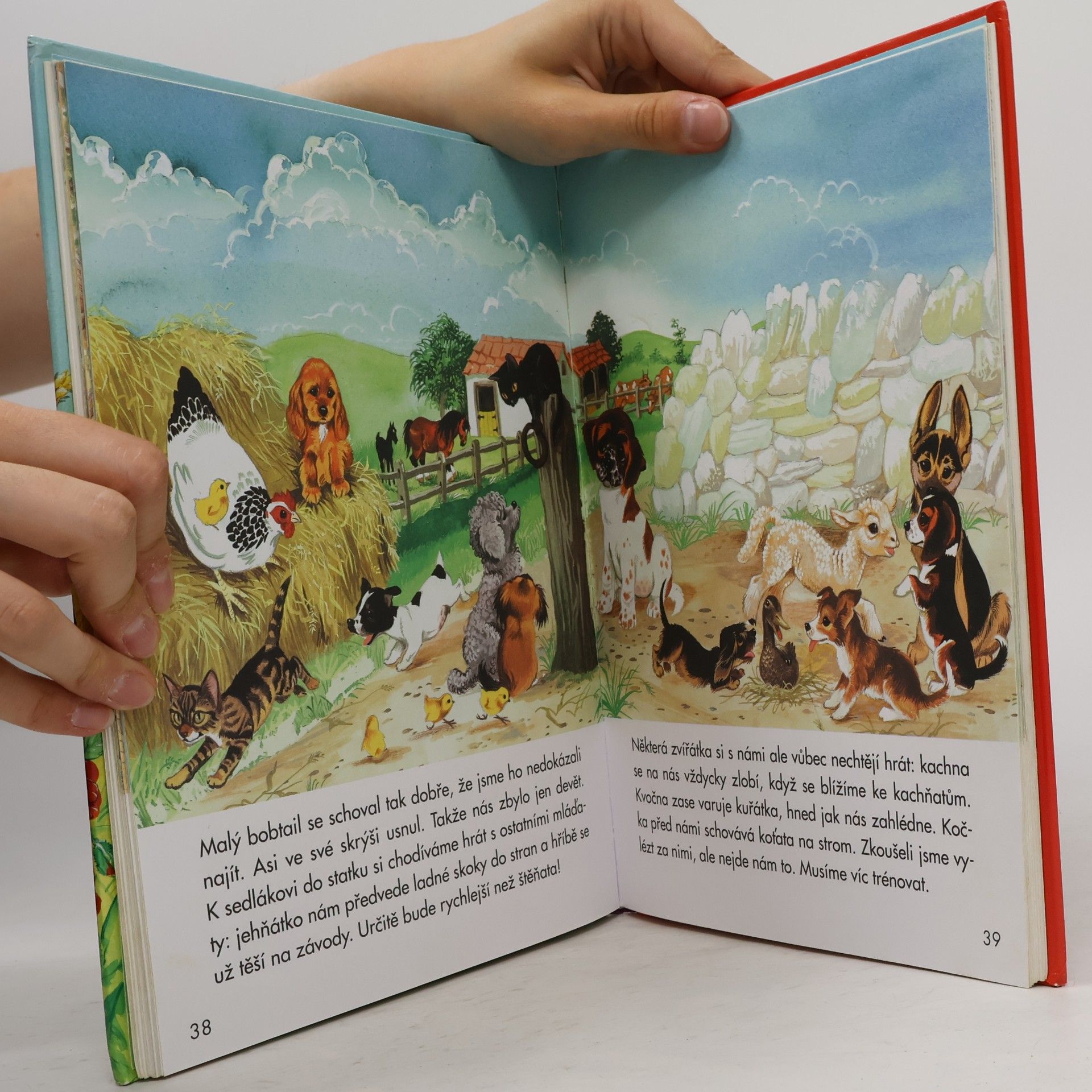 Various authors Jak si hrají zvířátka