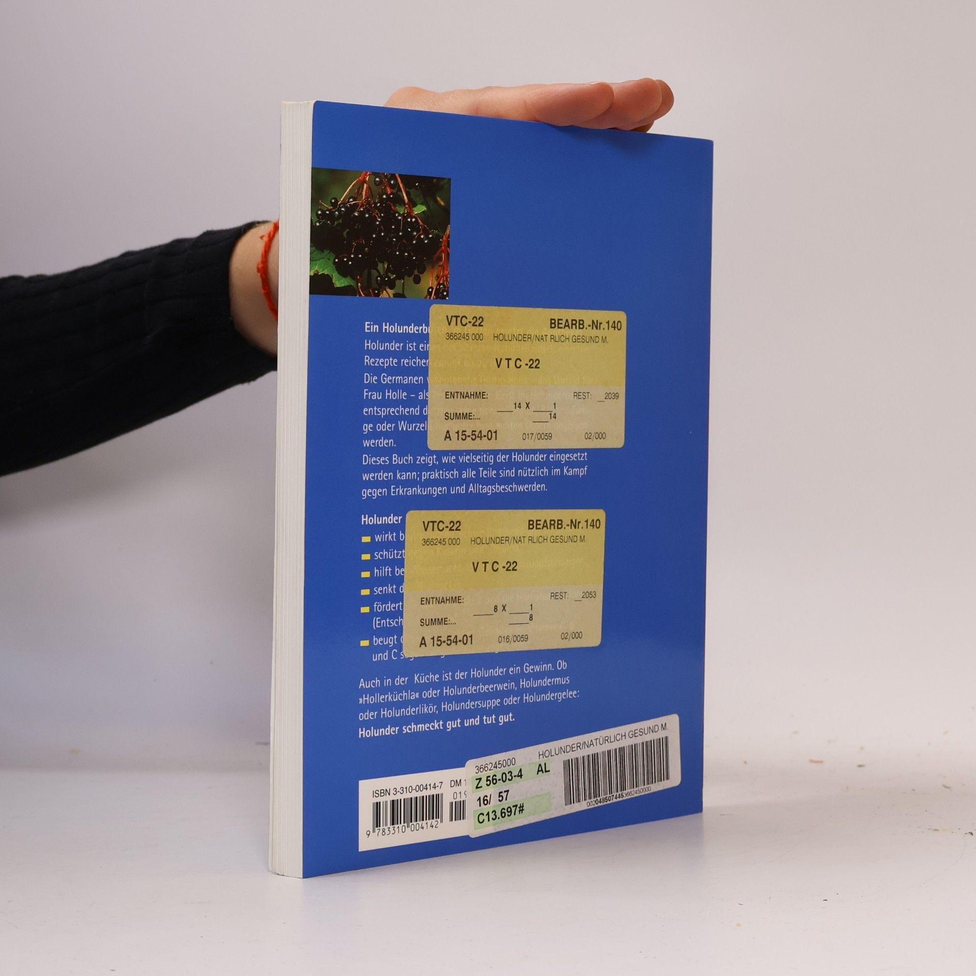 Hanspeter Hemgesberg Natürlich gesund mit Holunder