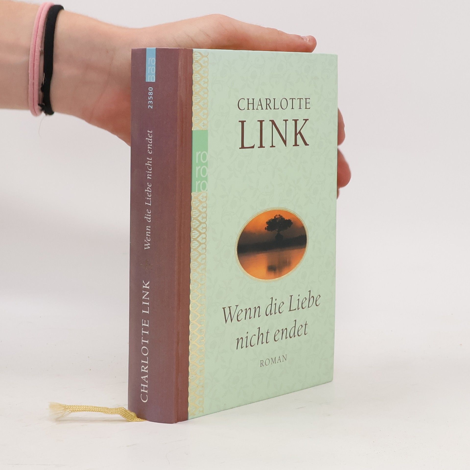 Charlotte Link Wenn die Liebe nicht endet