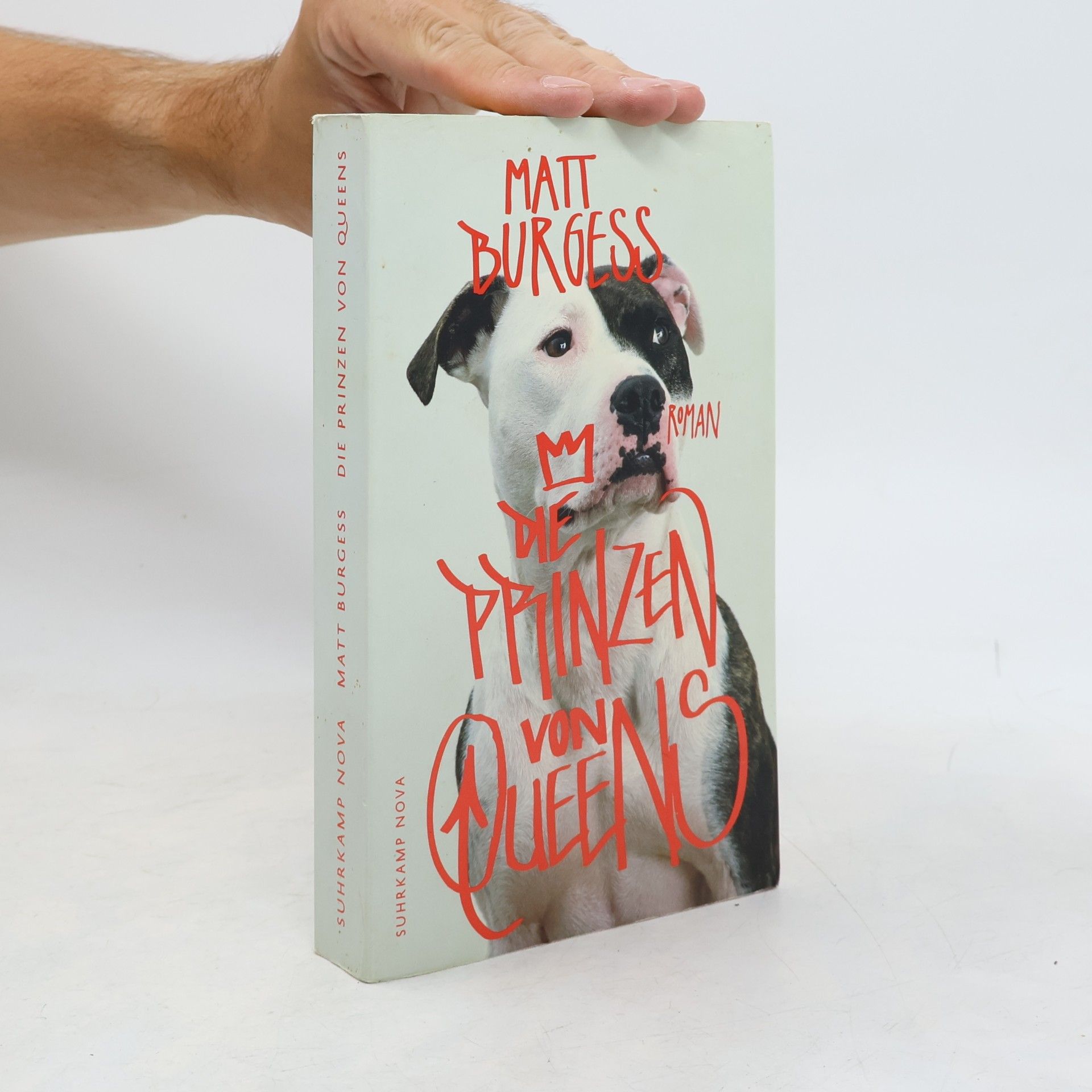 Matt Burgess Die Prinzen von Queens