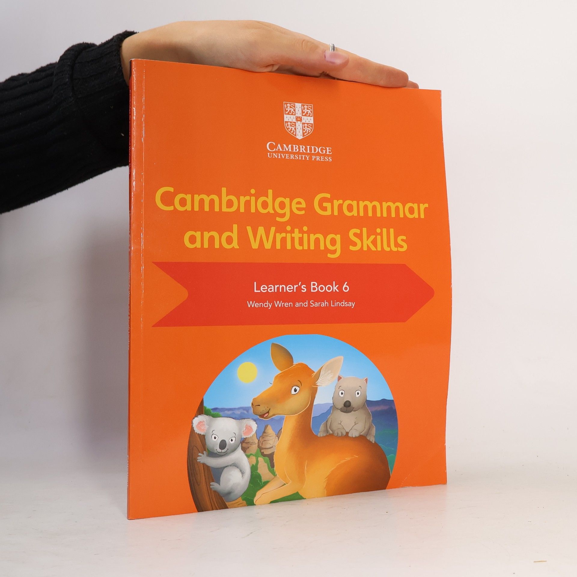 Sarah Lindsay Cambridge Grammar and Writing Skills Learner's Book