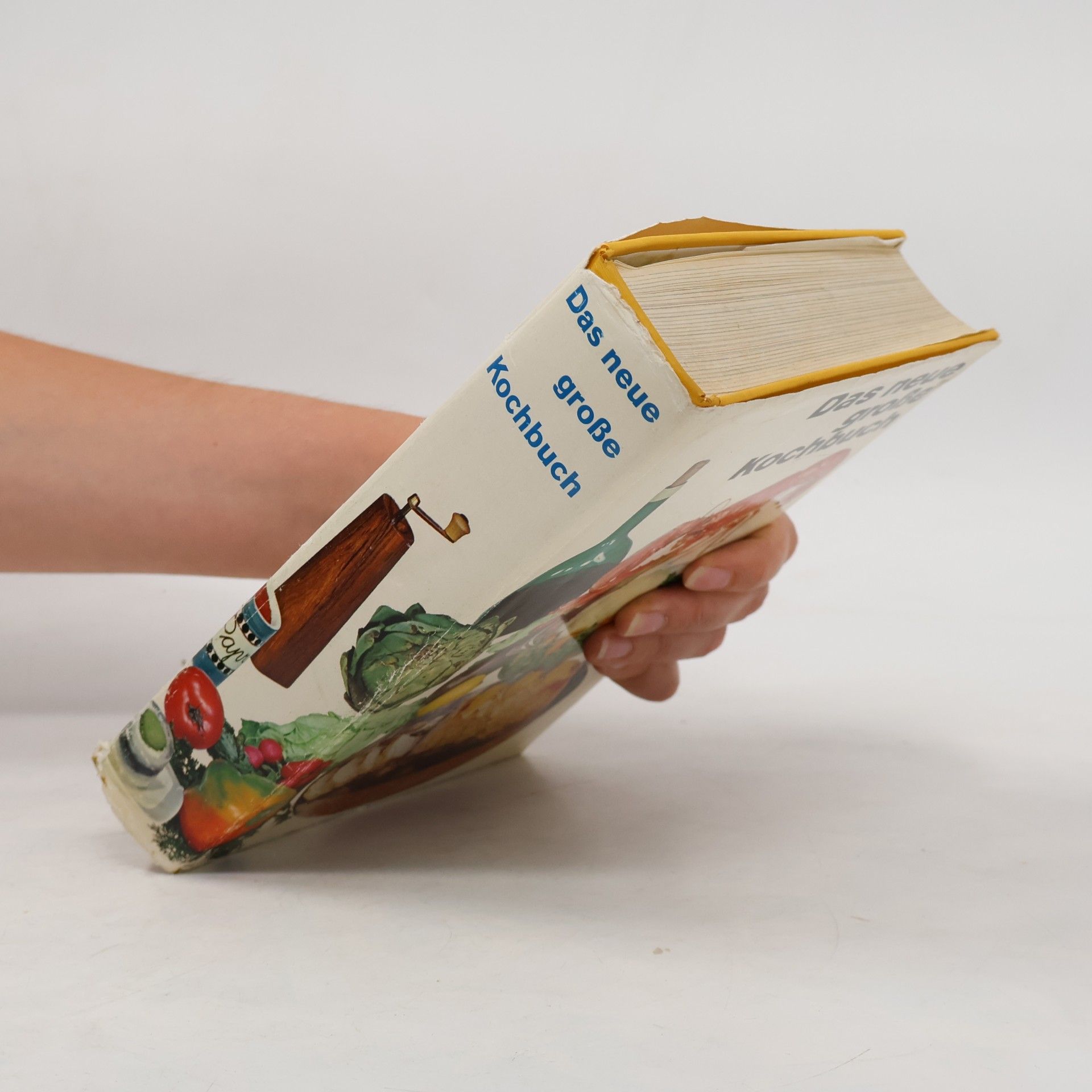 Roland Gööck Das neue große Kochbuch