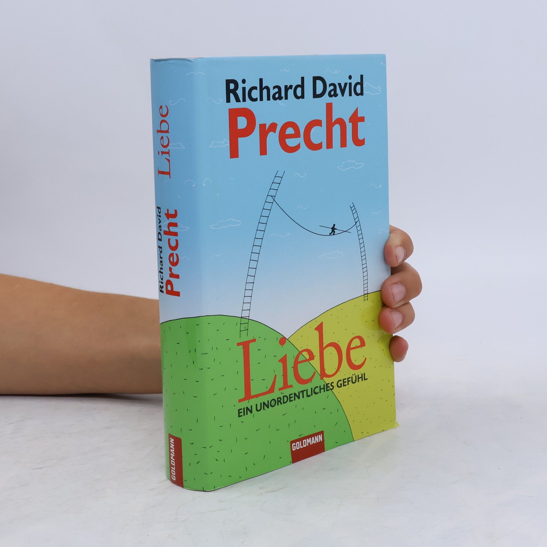 Richard David Precht Liebe ein Unordentliches Gefühl