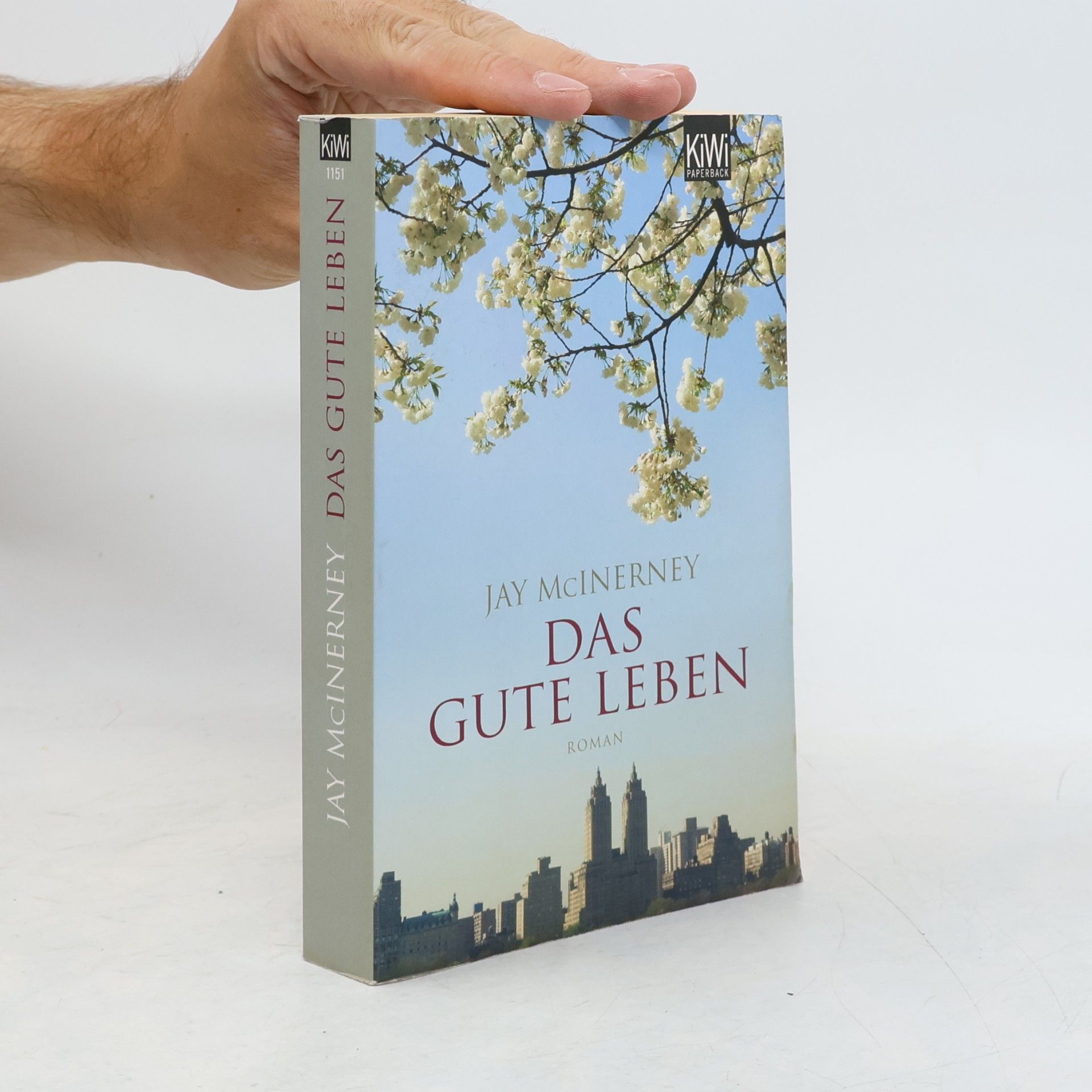 Jay McInerney Das gute Leben