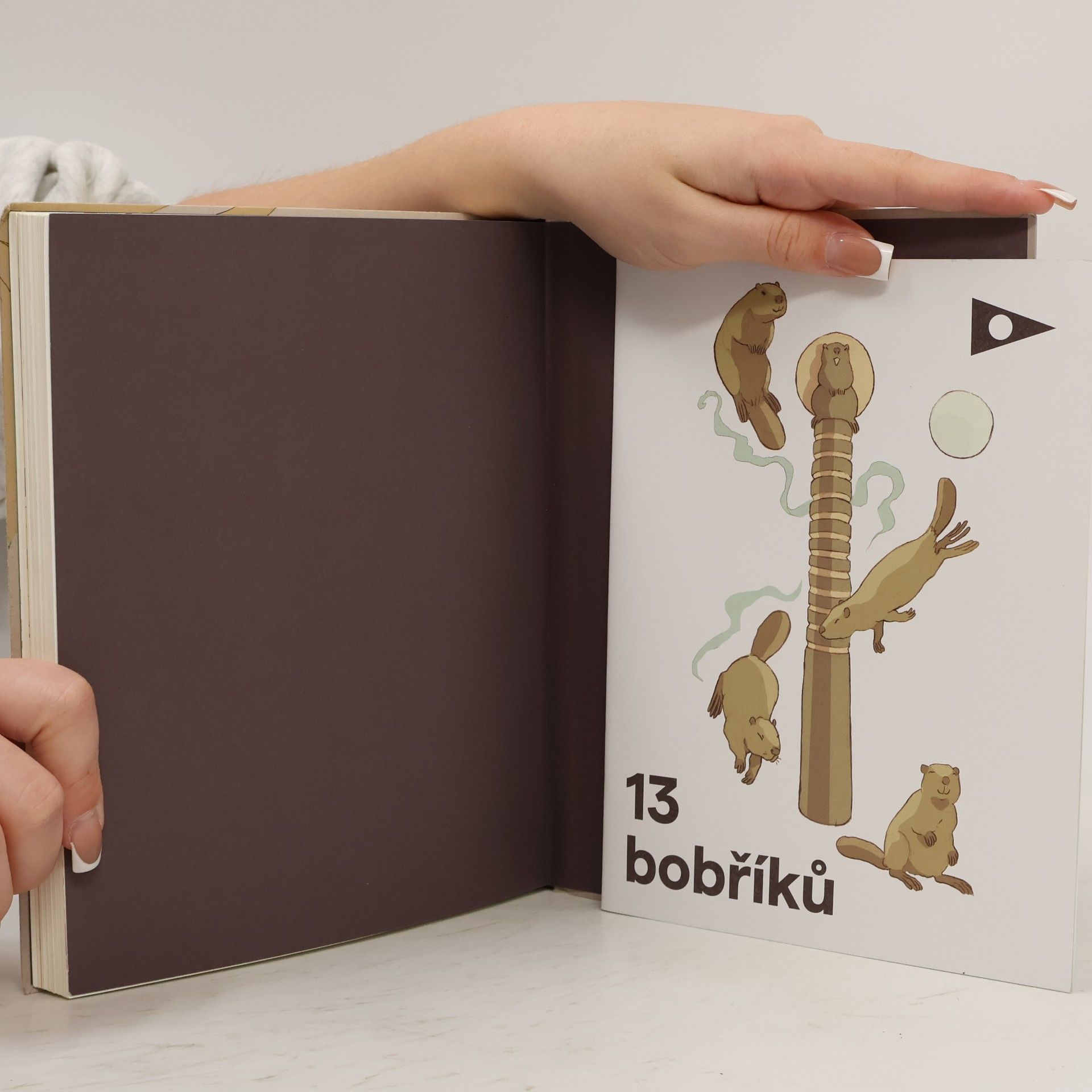 Jaroslav Foglar Hoši od Bobří řeky