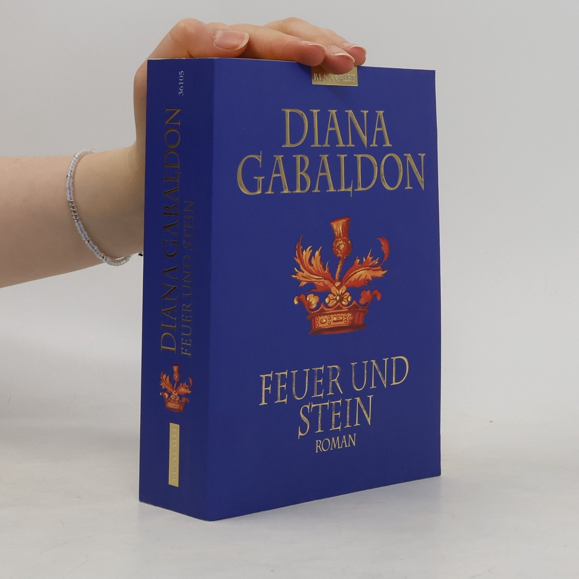 Diana Gabaldon Feuer und Stein