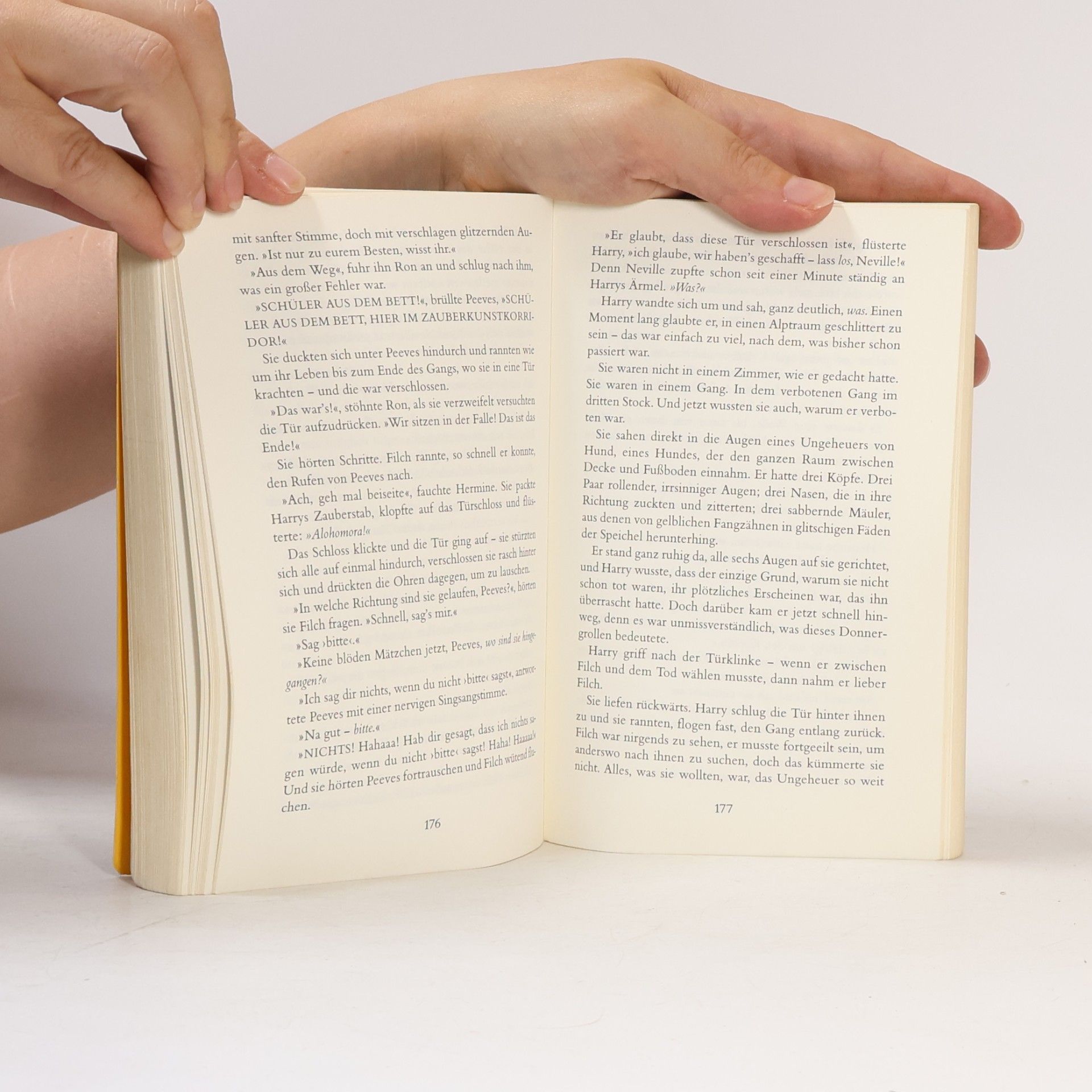 J. K. Rowling Harry Potter und der Stein der Weisen