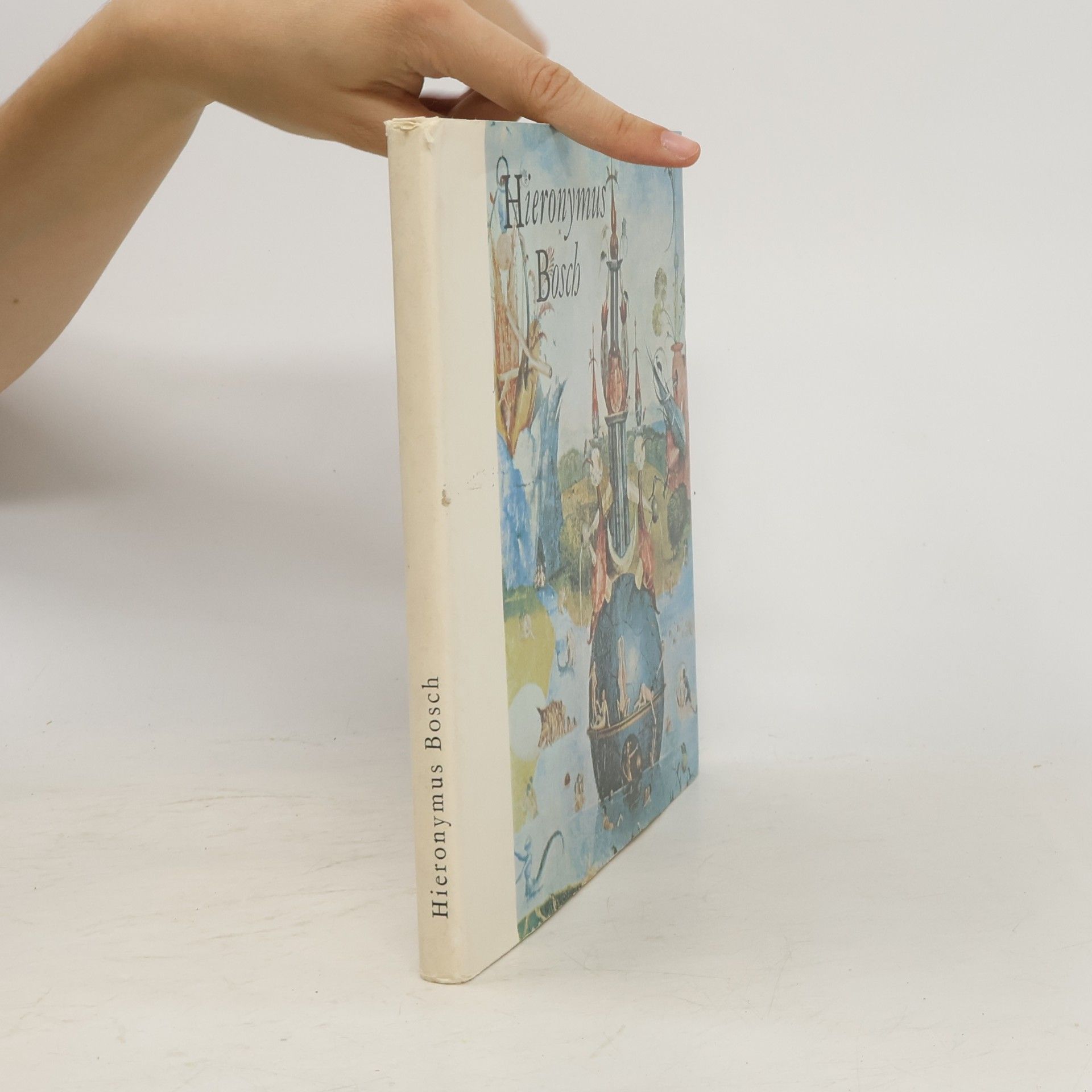 Hana Volavková Hieronymus Bosch