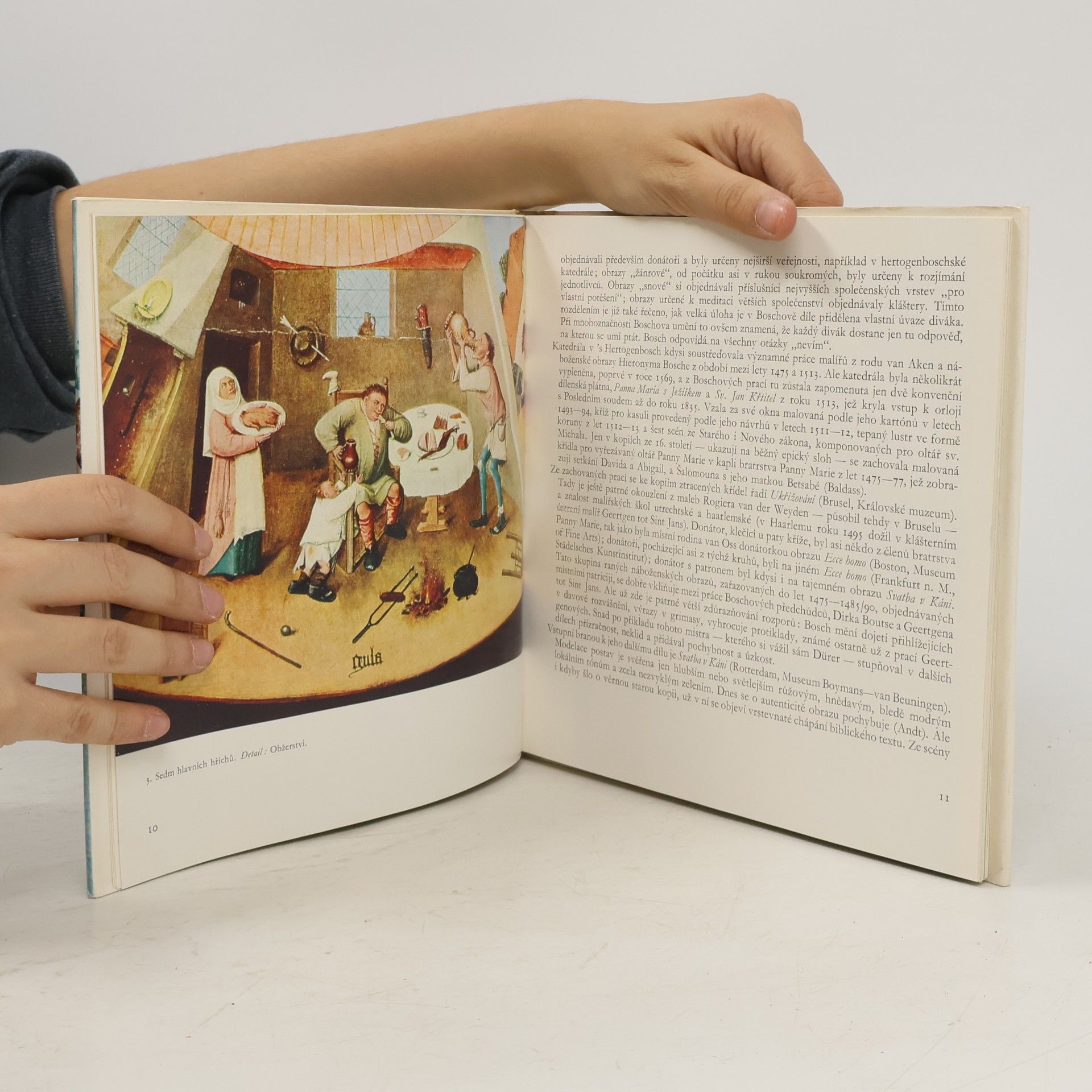 Hana Volavková Hieronymus Bosch