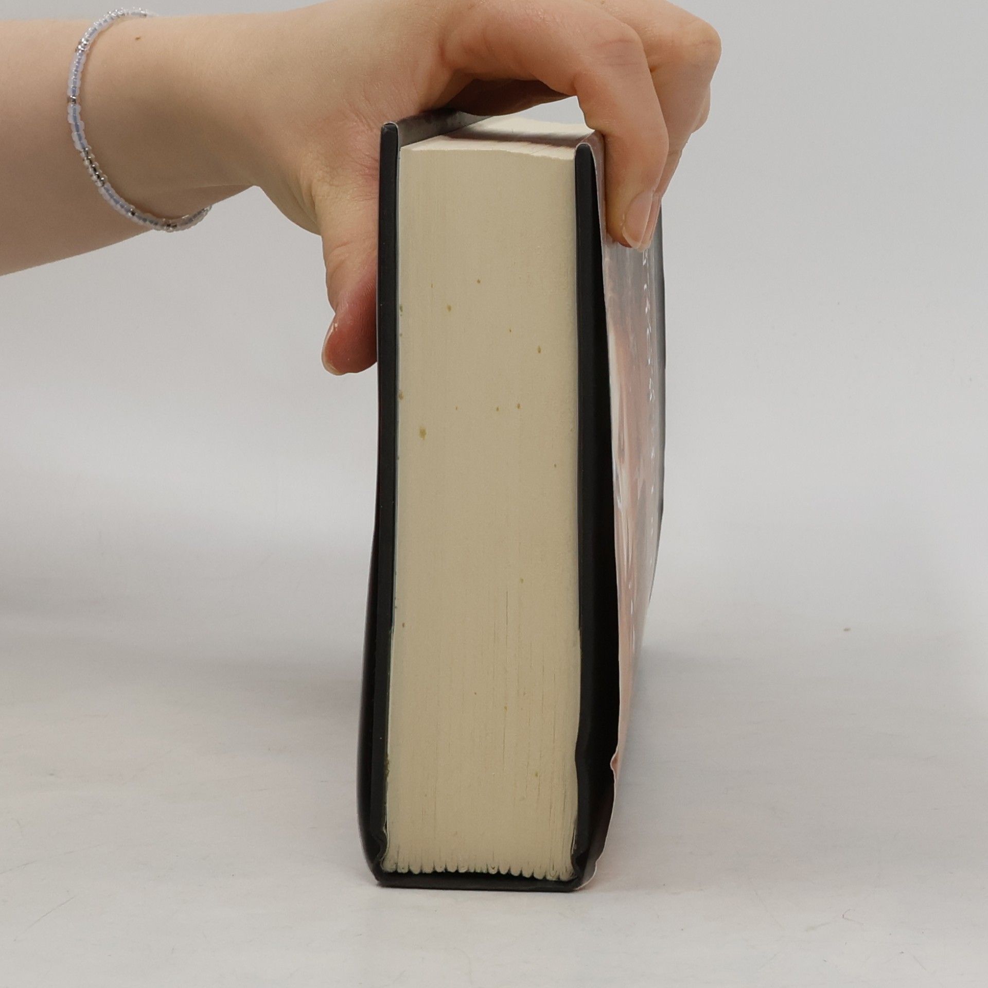 Richelle Mead Spirit Bound