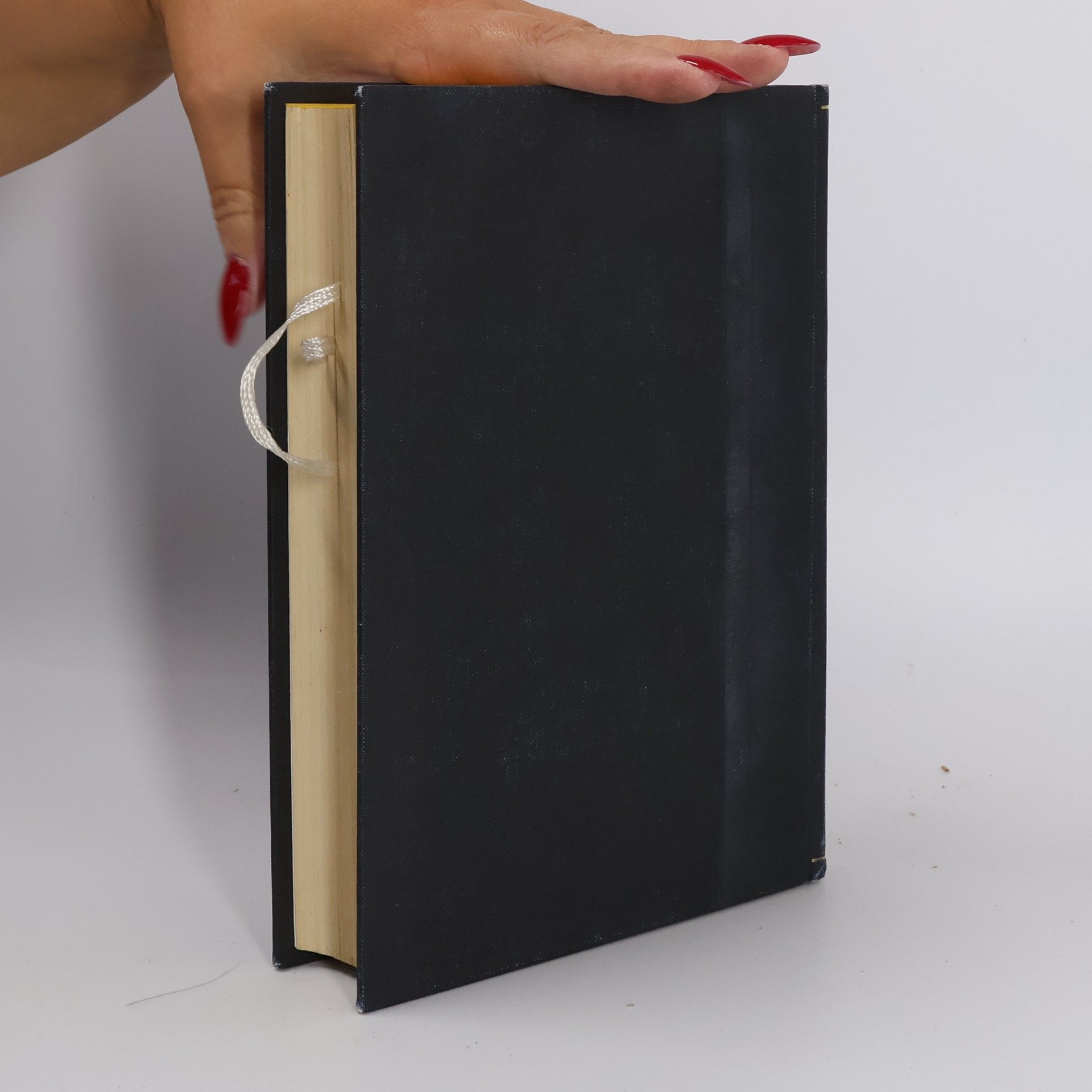 Pio Martinucci Manuale sacrarum caeremoniarum, Volumen IV
