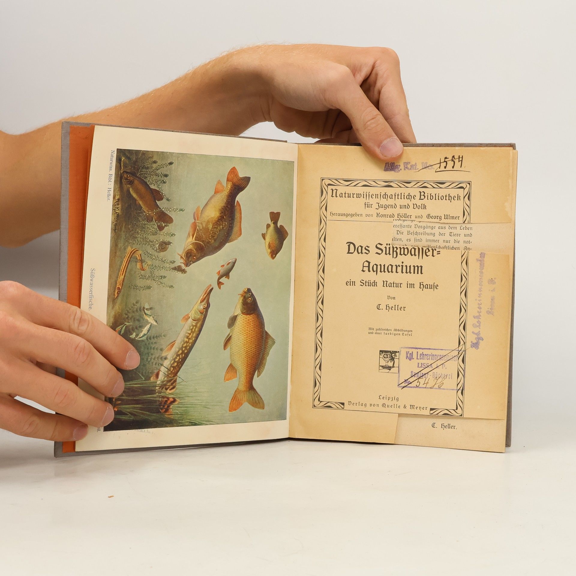 C. Heller Das Aquarium