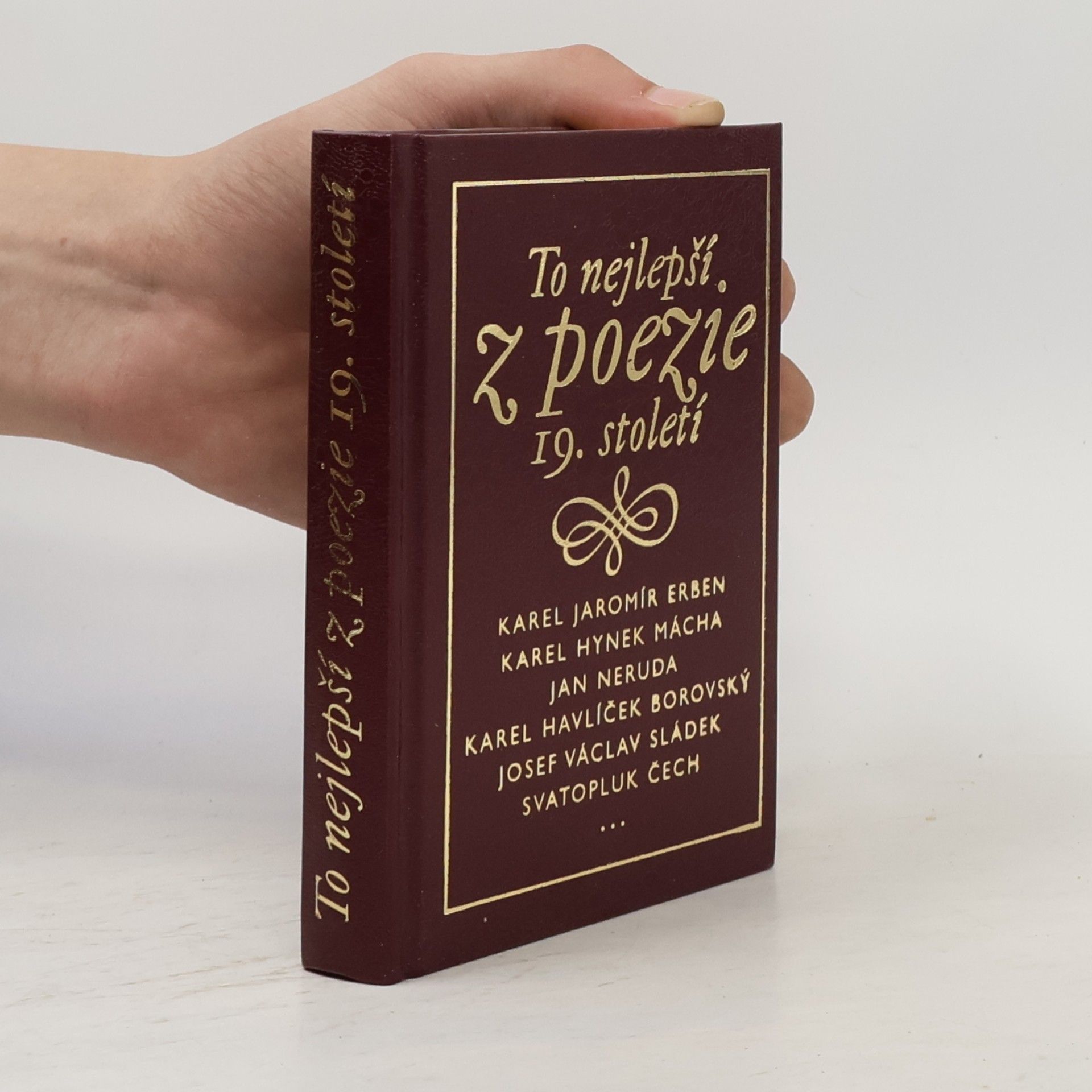 Kolektiv autorů To nejlepší z poezie 19. století