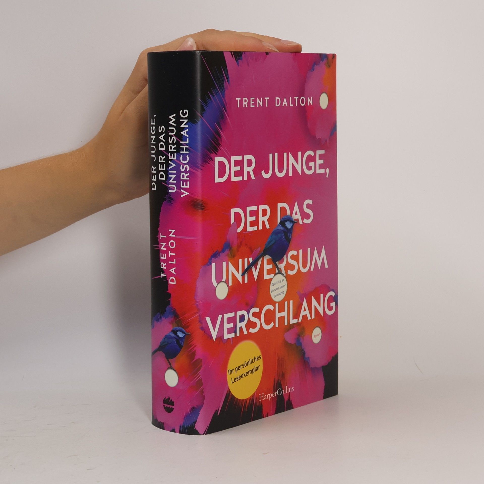 Trent Dalton Der Junge, der das Universum verschlang