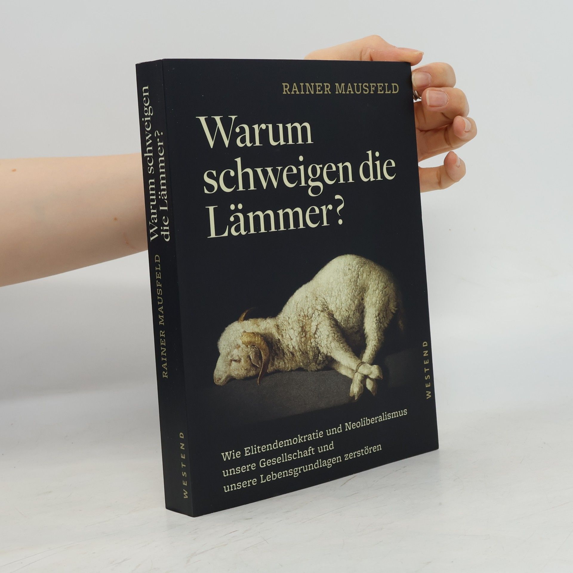 Rainer Mausfeld Warum schweigen die Lämmer?