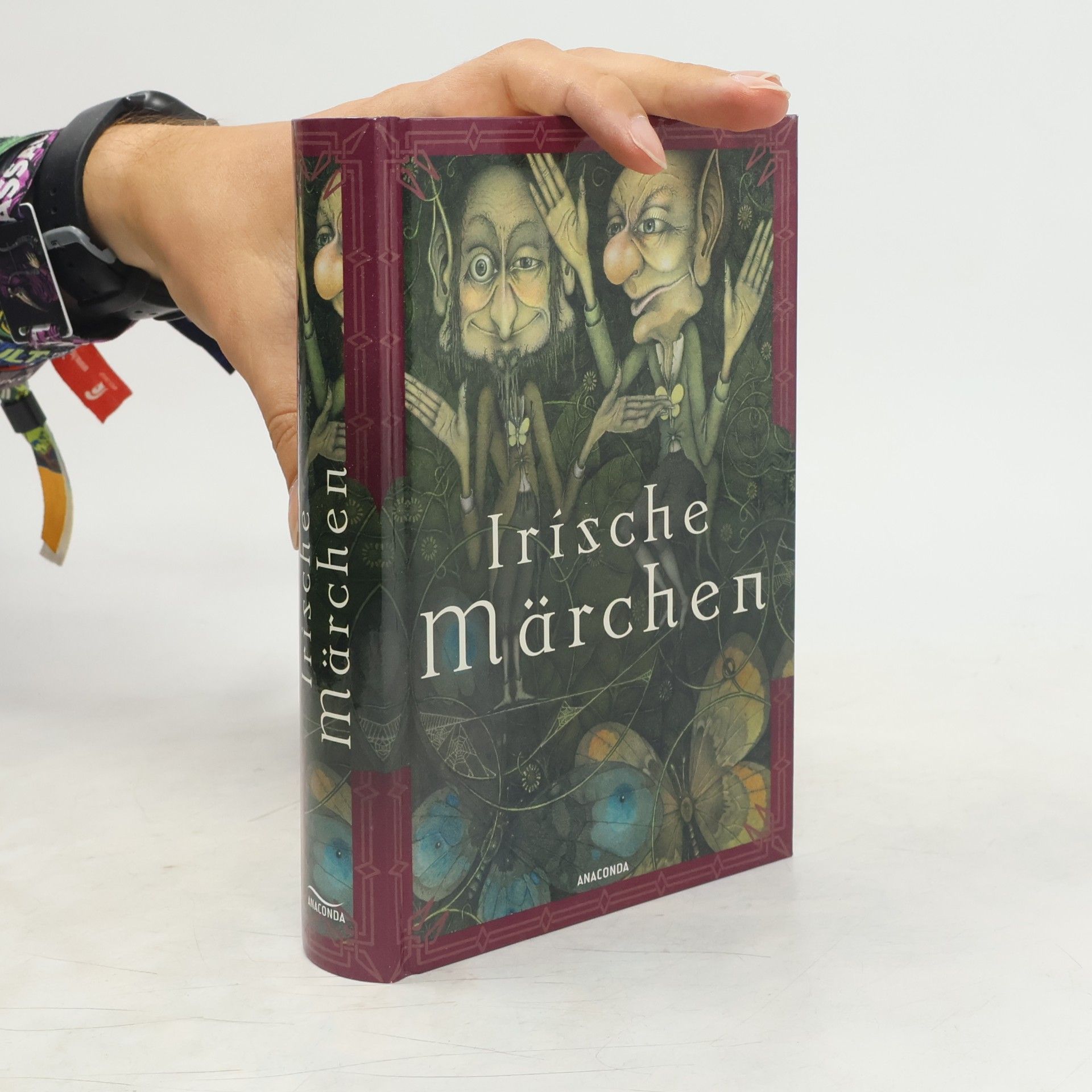 Irische Märchen