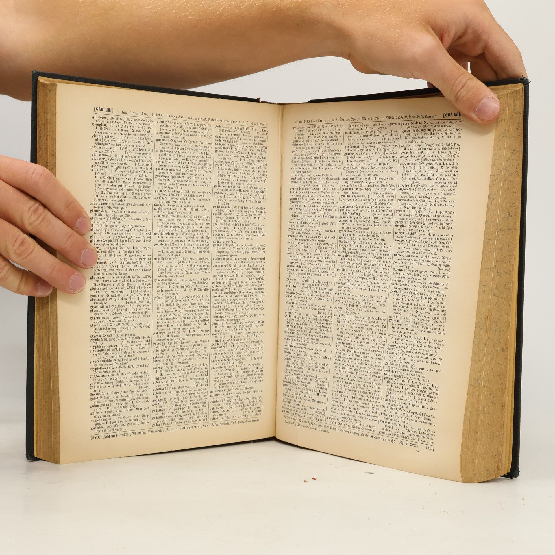 Karl Sachs Dictionnaire encyclopédique français-allemand et allemand-français. Encyklopädisches französisch-deutsches und deutsch-französisches Wörterbuch