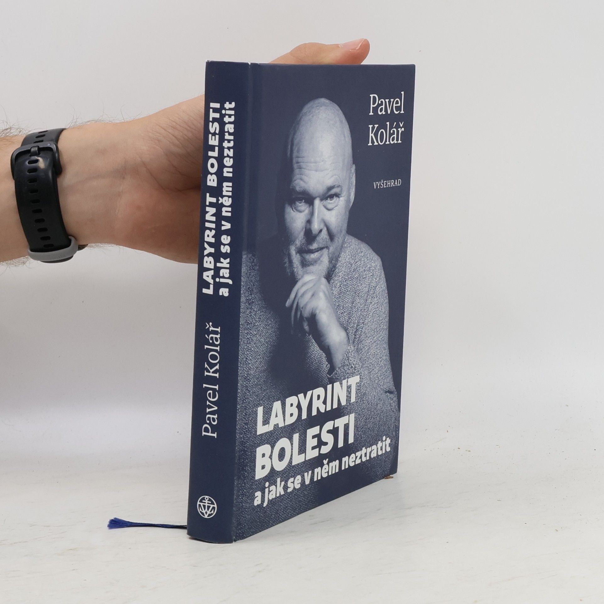 Labyrint bolesti a jak se v něm neztratit