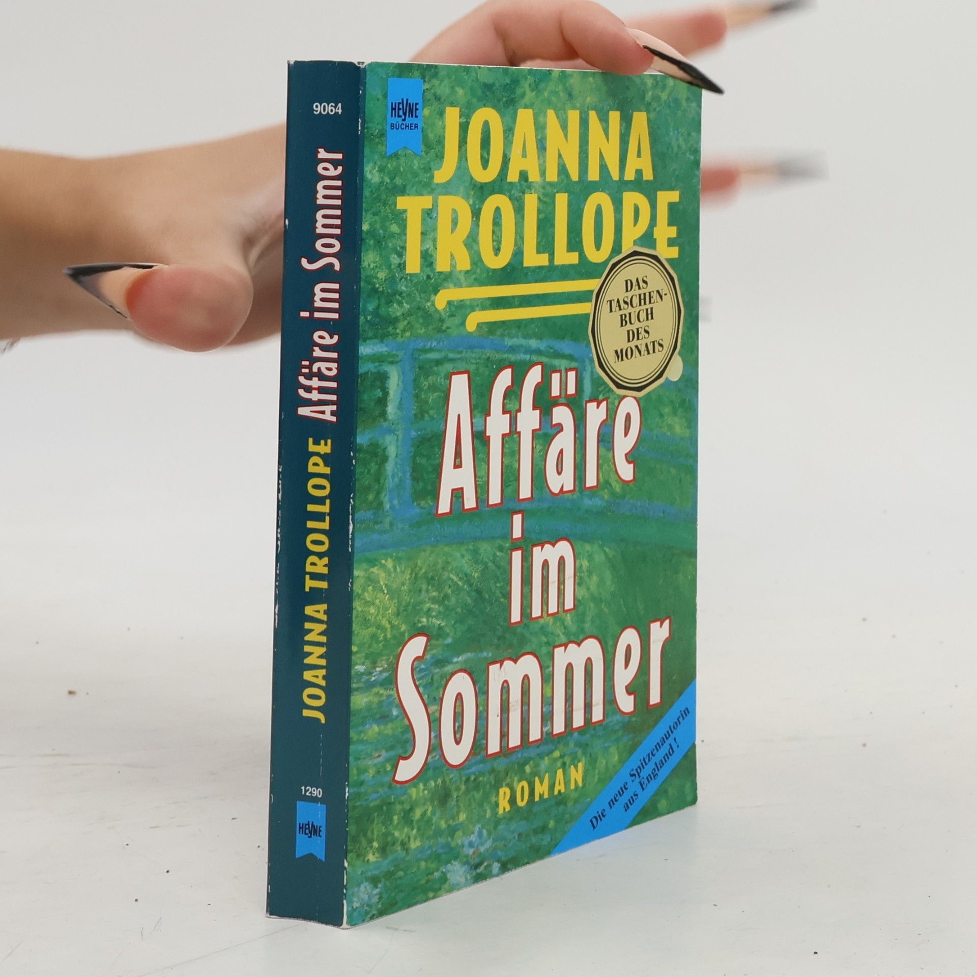Joanna Trollope Affäre im Sommer