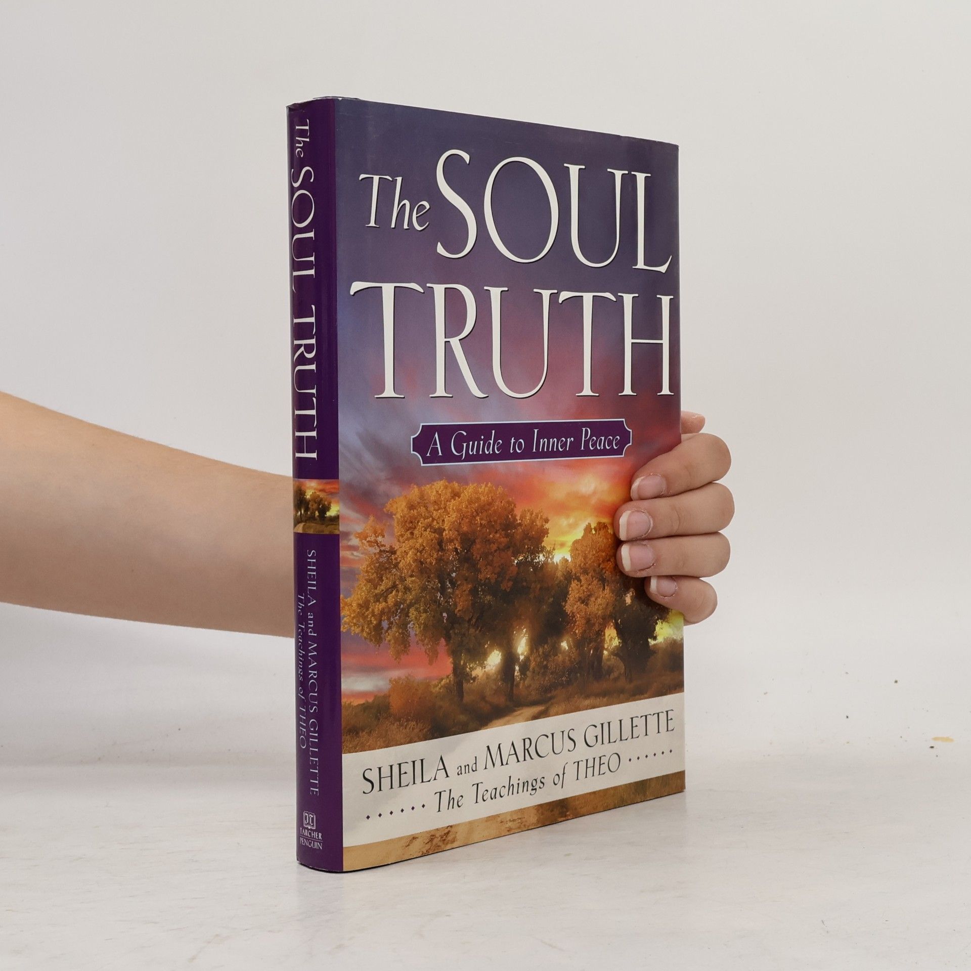 Sheila Gillette The Soul Truth