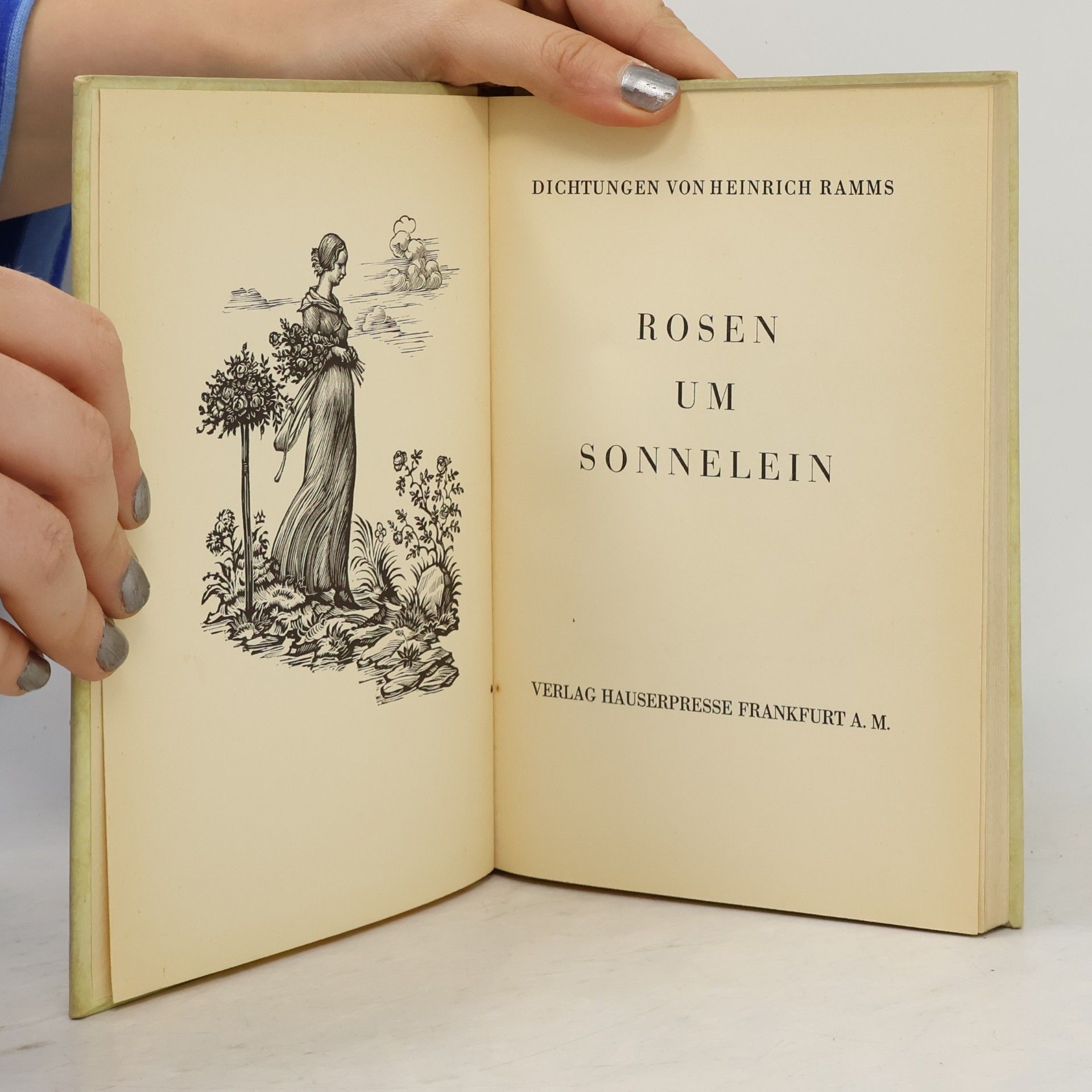 Heinrich Ramms Rosen um Sonnelein