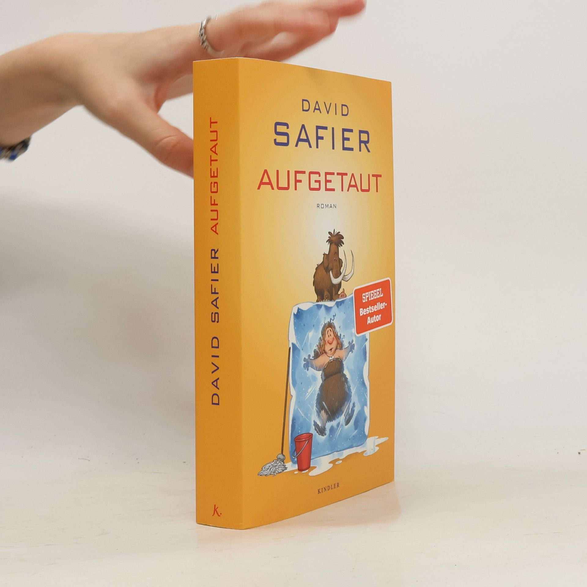 David Safier Aufgetaut