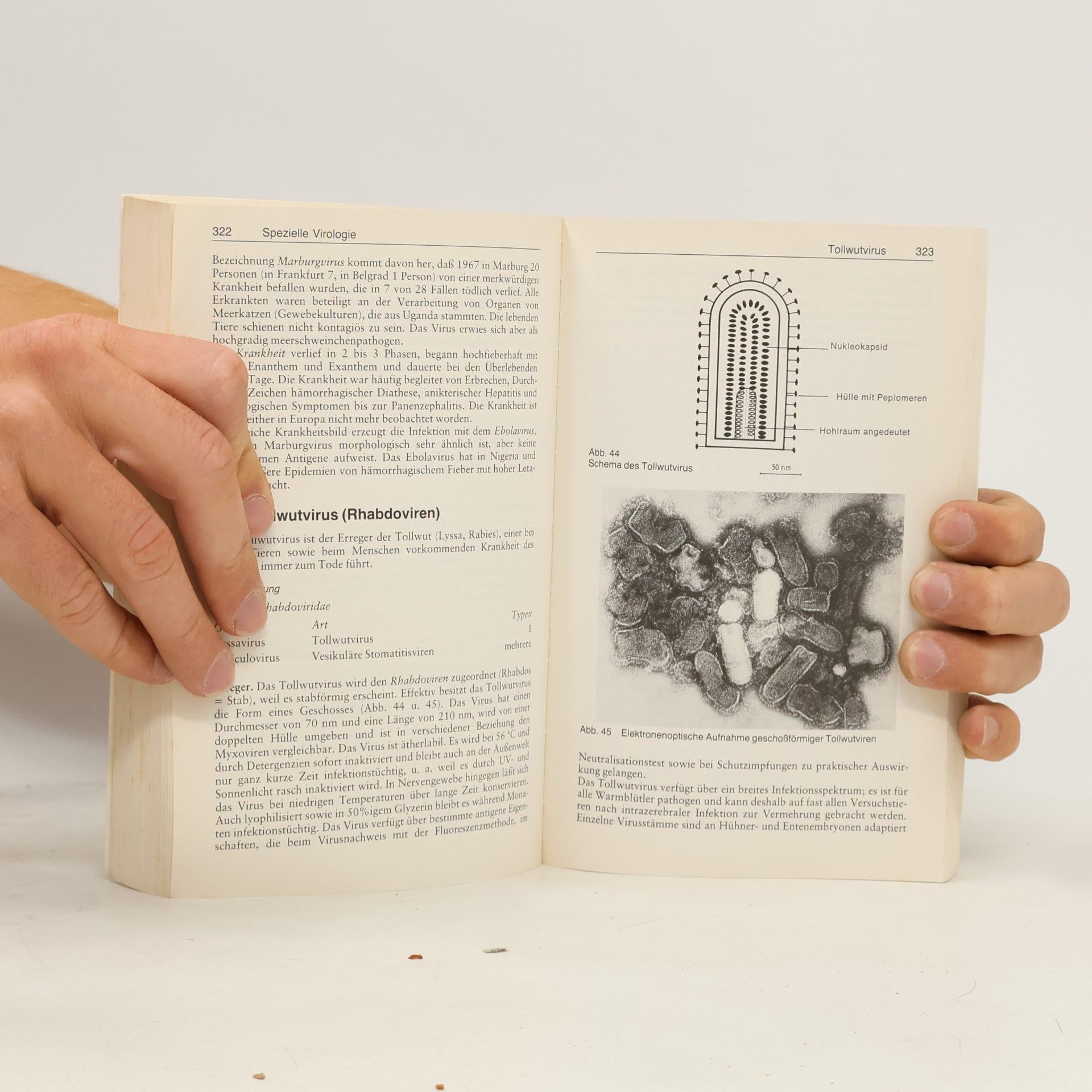 Ernst Wiesmann Medizinische Mikrobiologie