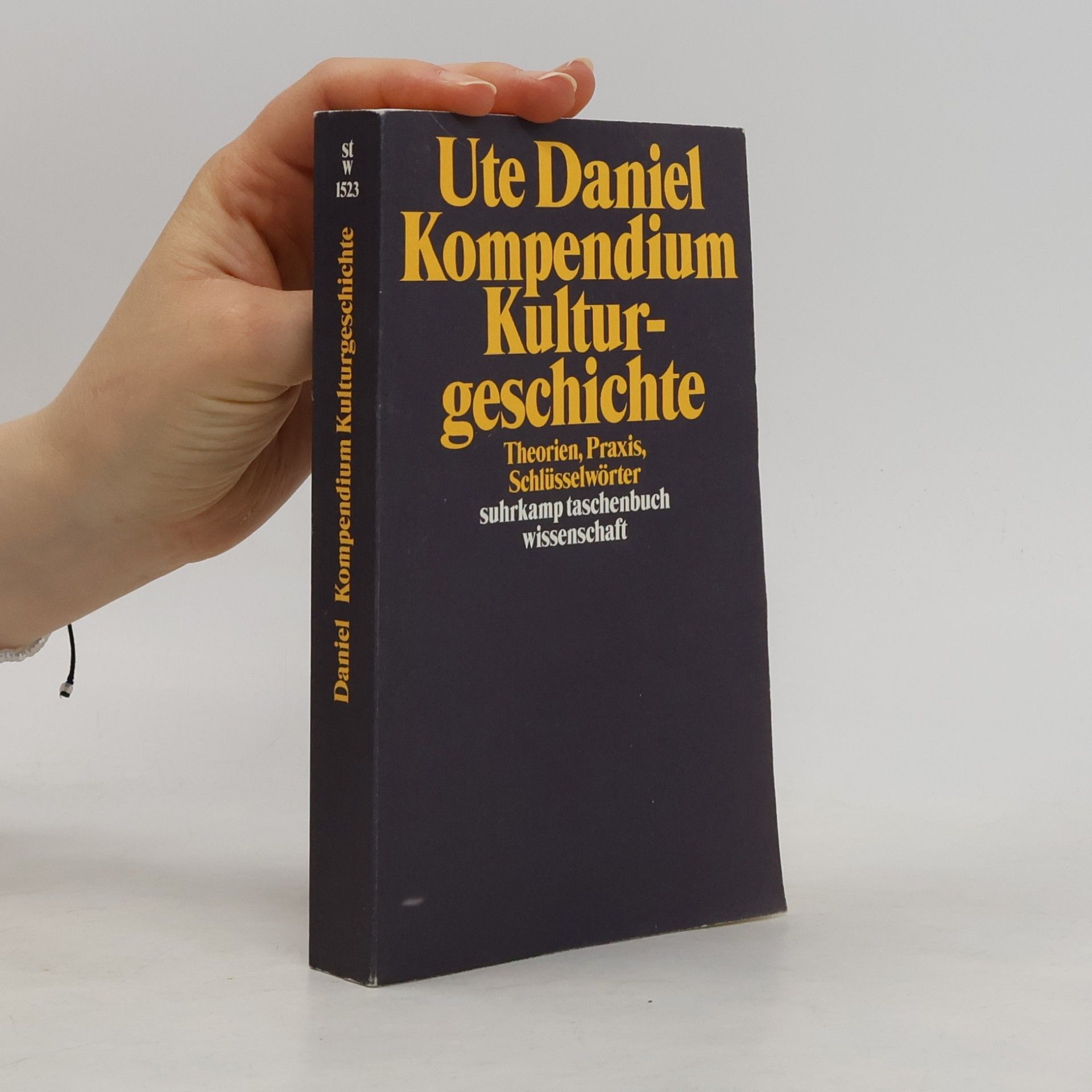Ute Daniel Kompendium Kulturgeschichte