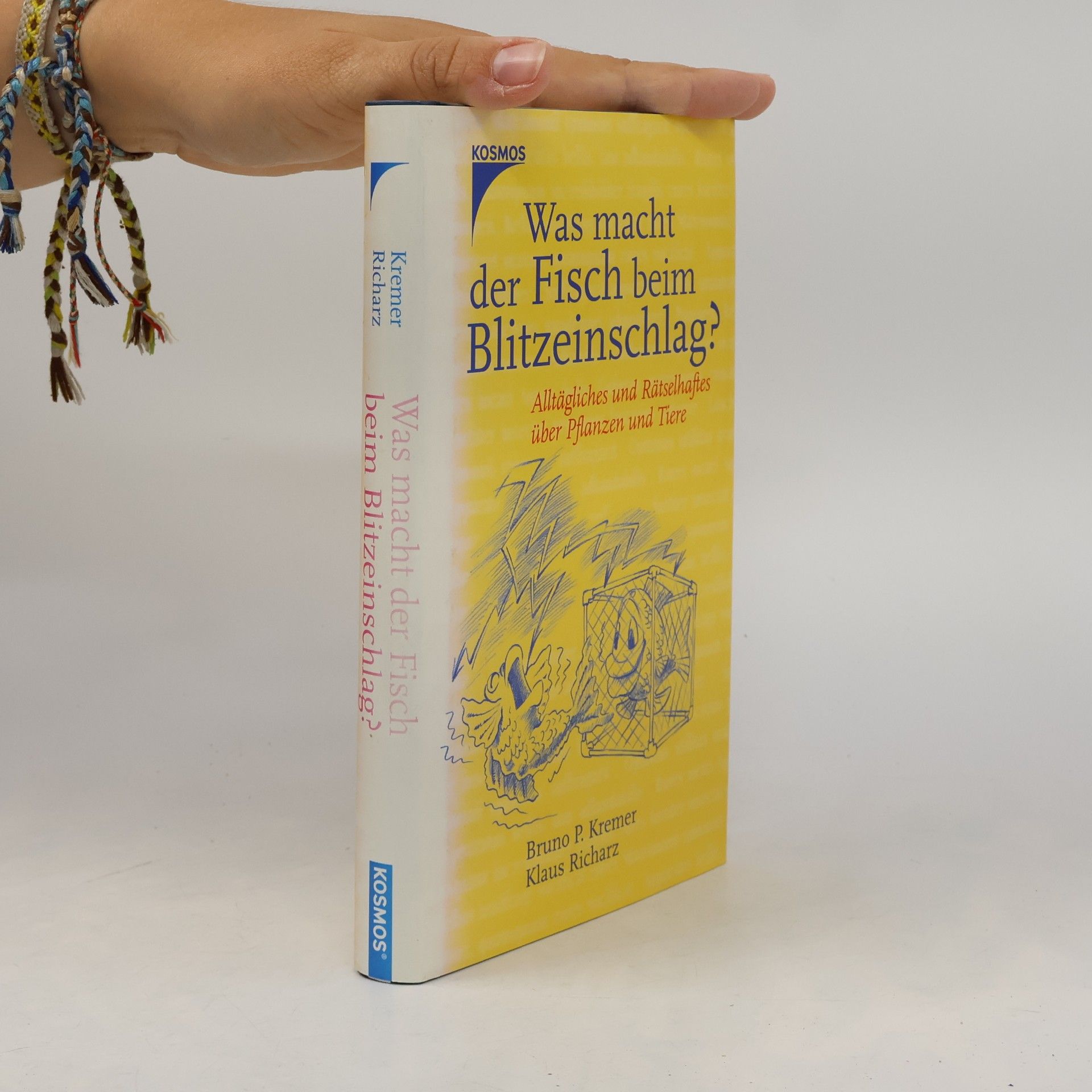 Bruno P. Kremer Was macht der Fisch beim Blitzeinschlag?