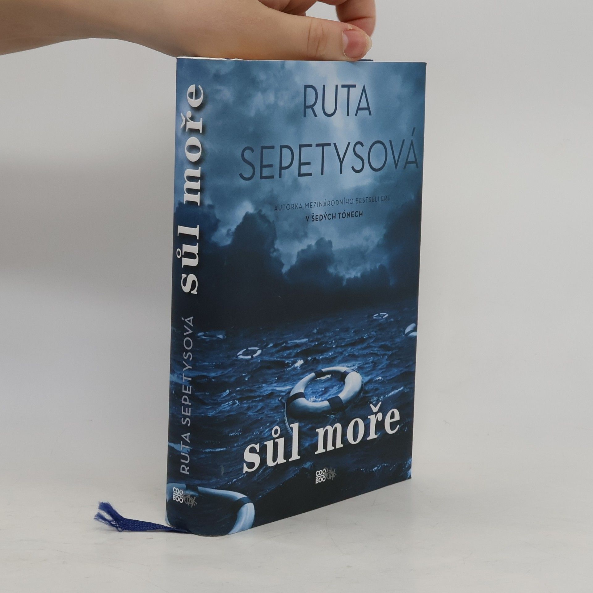 Ruta Sepetys Sůl moře