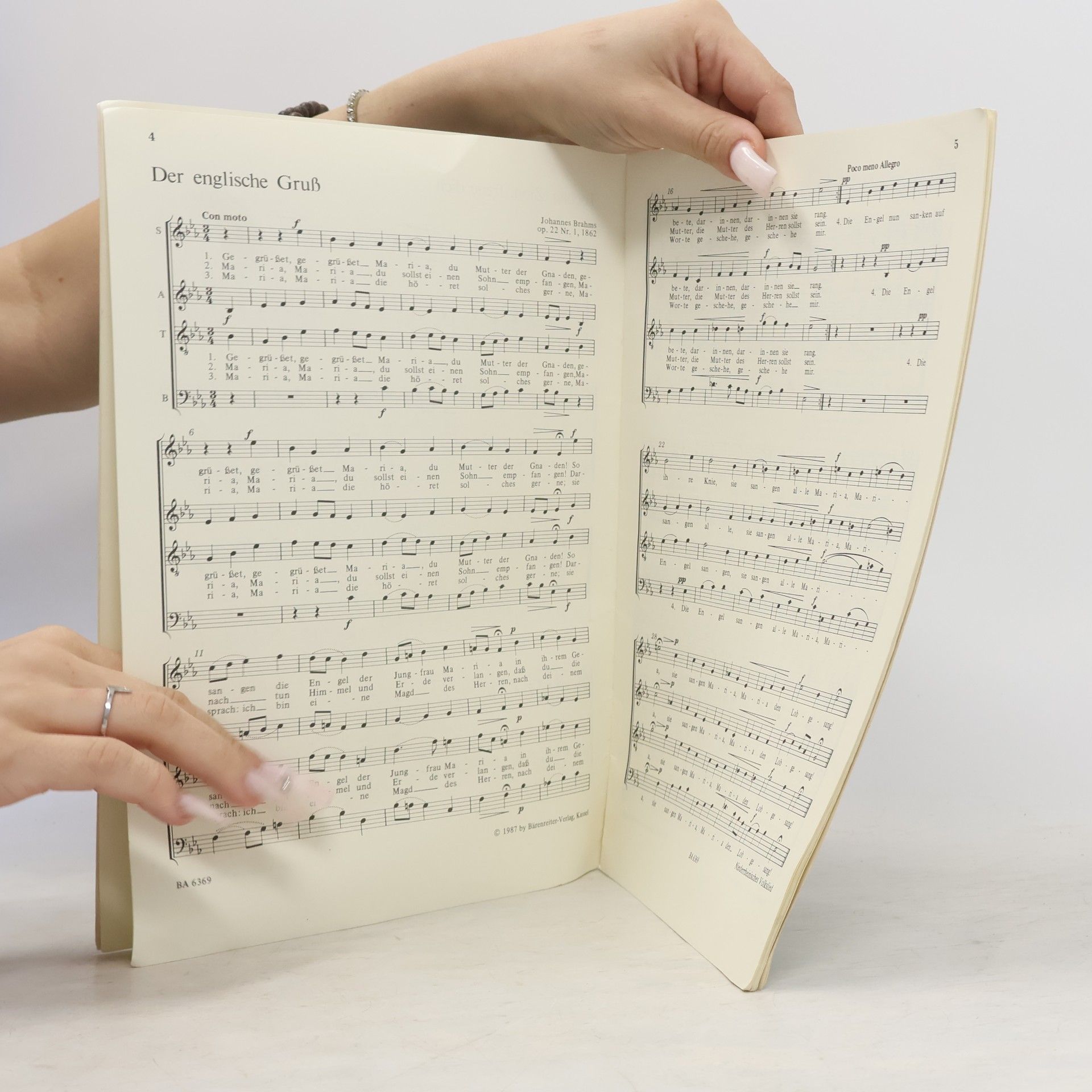 Kolektiv autorů Weihnachtliche Chormusik