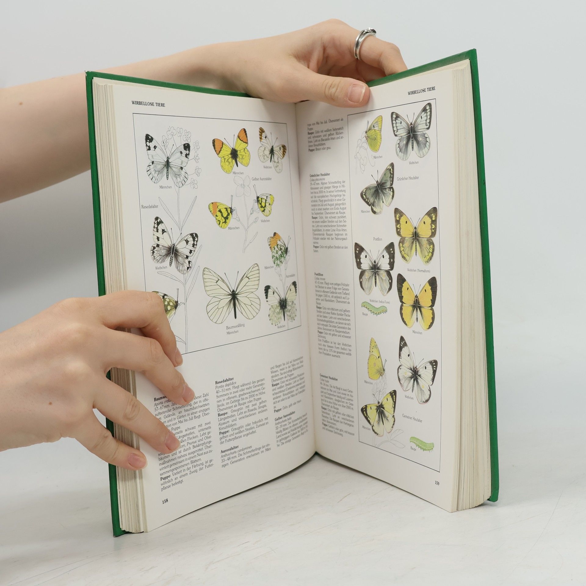Michael Chinery Das große Kosmos-Handbuch der Natur